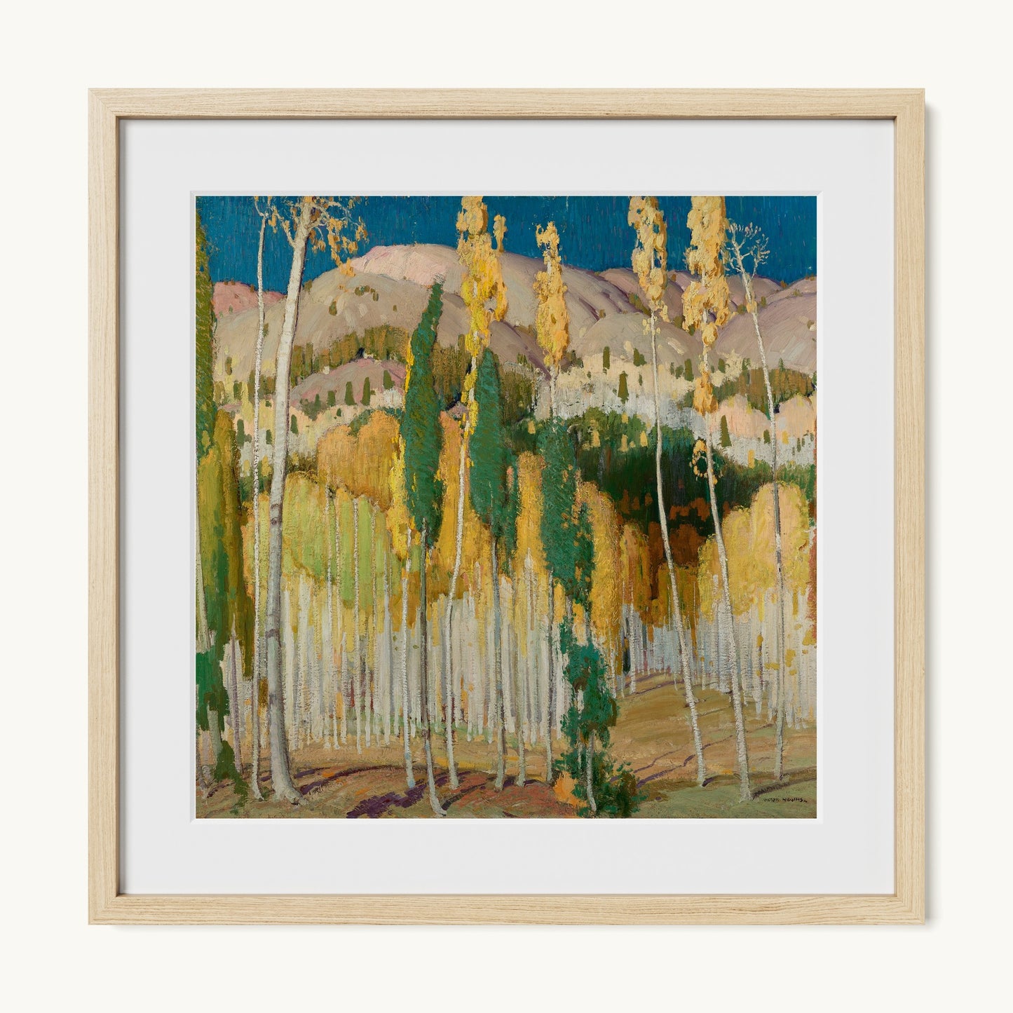 Aspen Trees at Twining