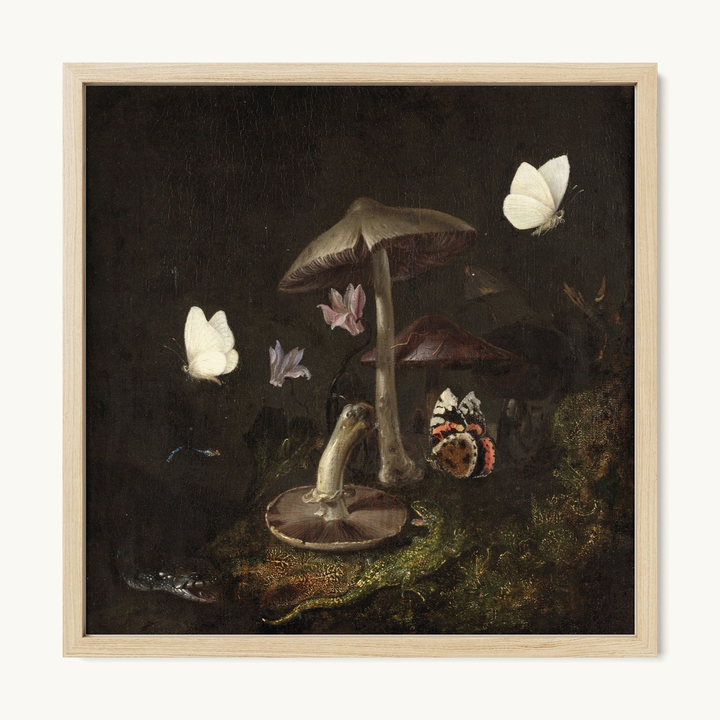 A Sottobosco with Mushrooms, Butterflies, a Dragonfly, a Snake and a Lizard