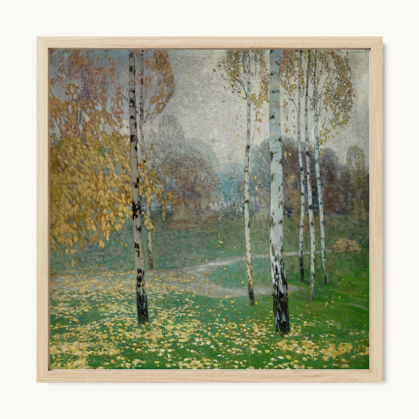 Birch Trees