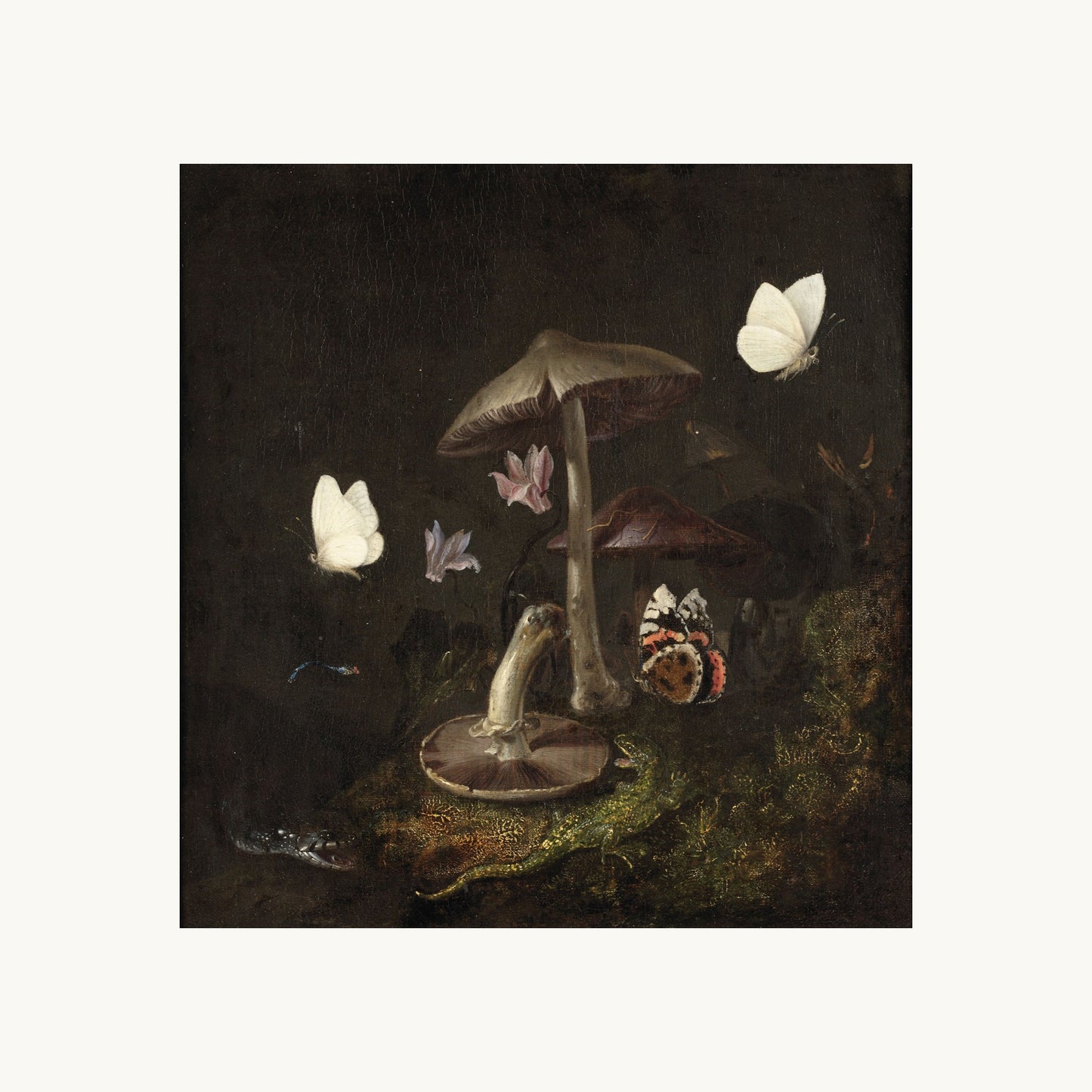 A Sottobosco with Mushrooms, Butterflies, a Dragonfly, a Snake and a Lizard