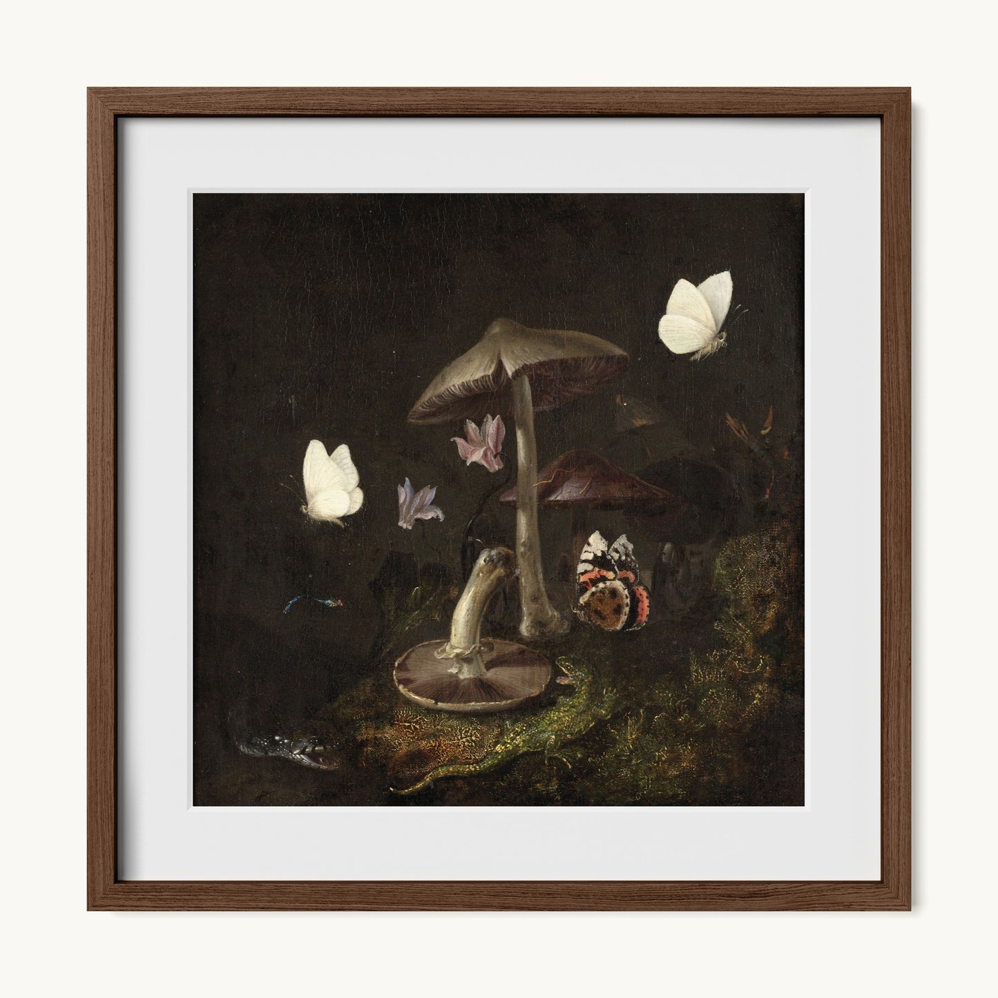 A Sottobosco with Mushrooms, Butterflies, a Dragonfly, a Snake and a Lizard
