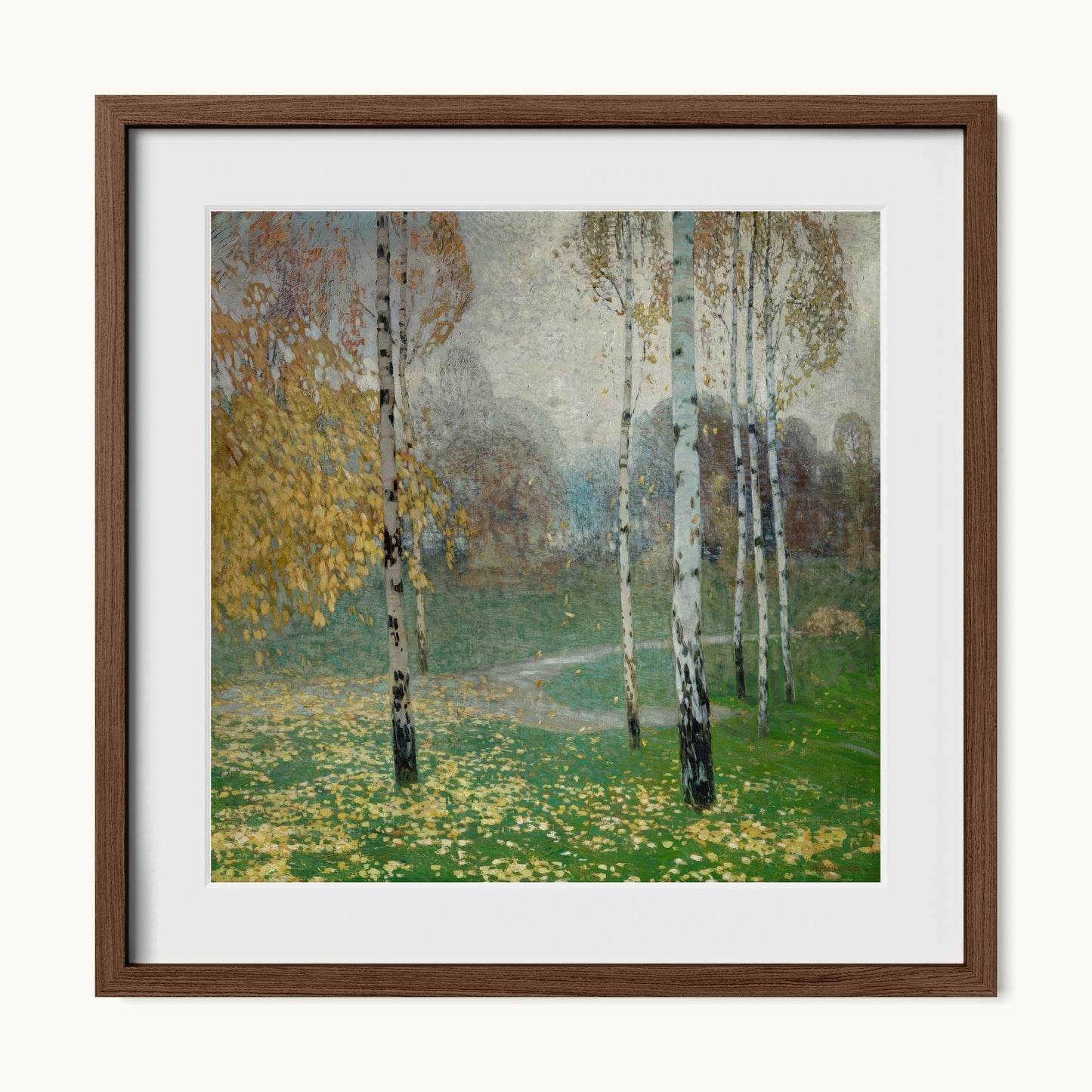 Birch Trees