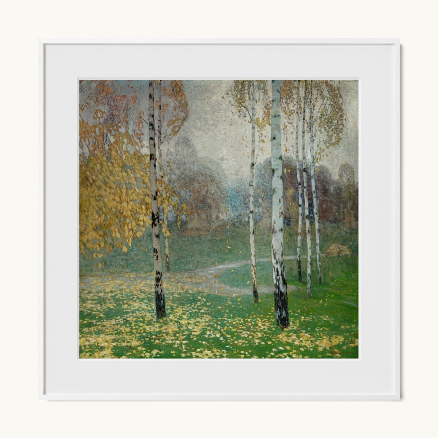 Birch Trees