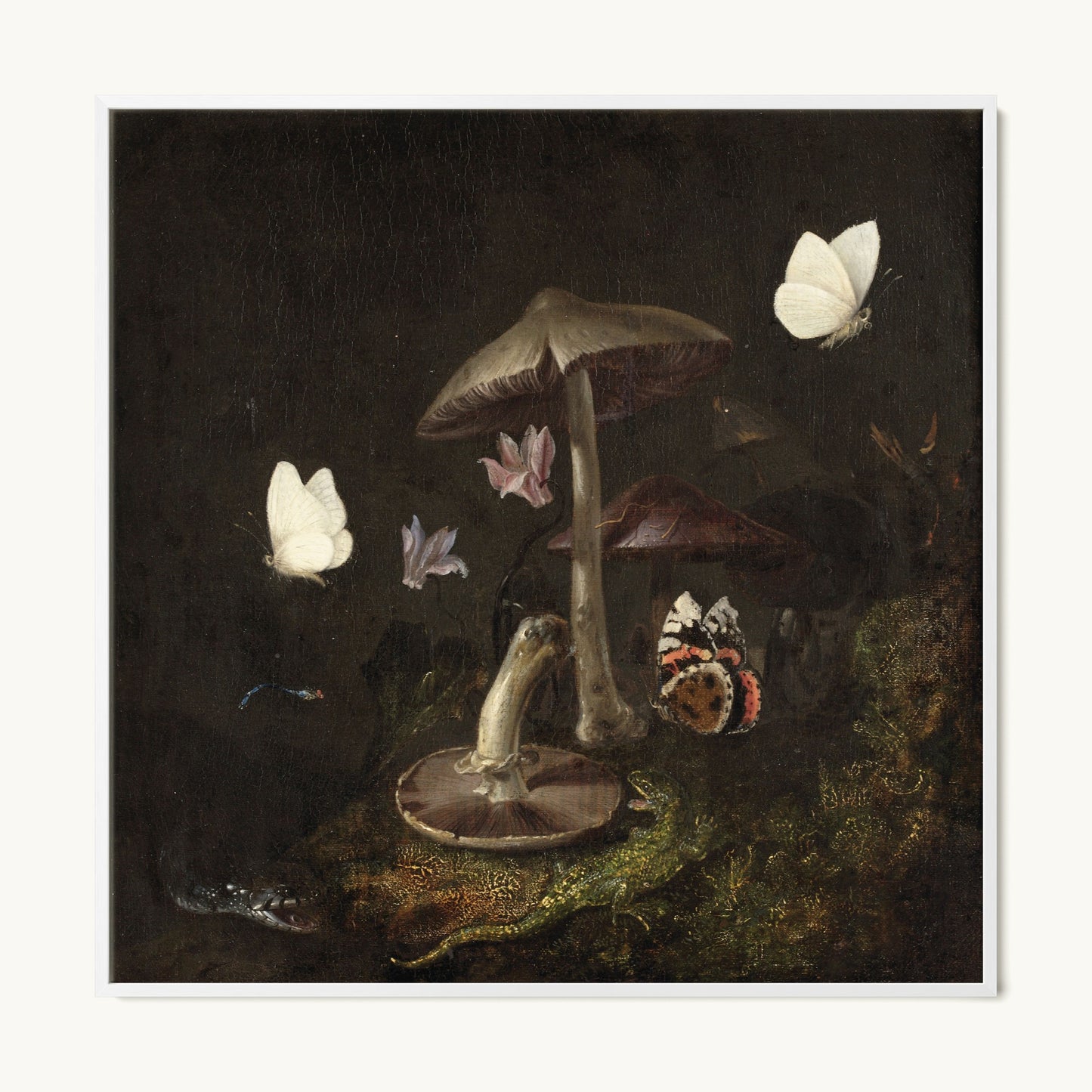 A Sottobosco with Mushrooms, Butterflies, a Dragonfly, a Snake and a Lizard