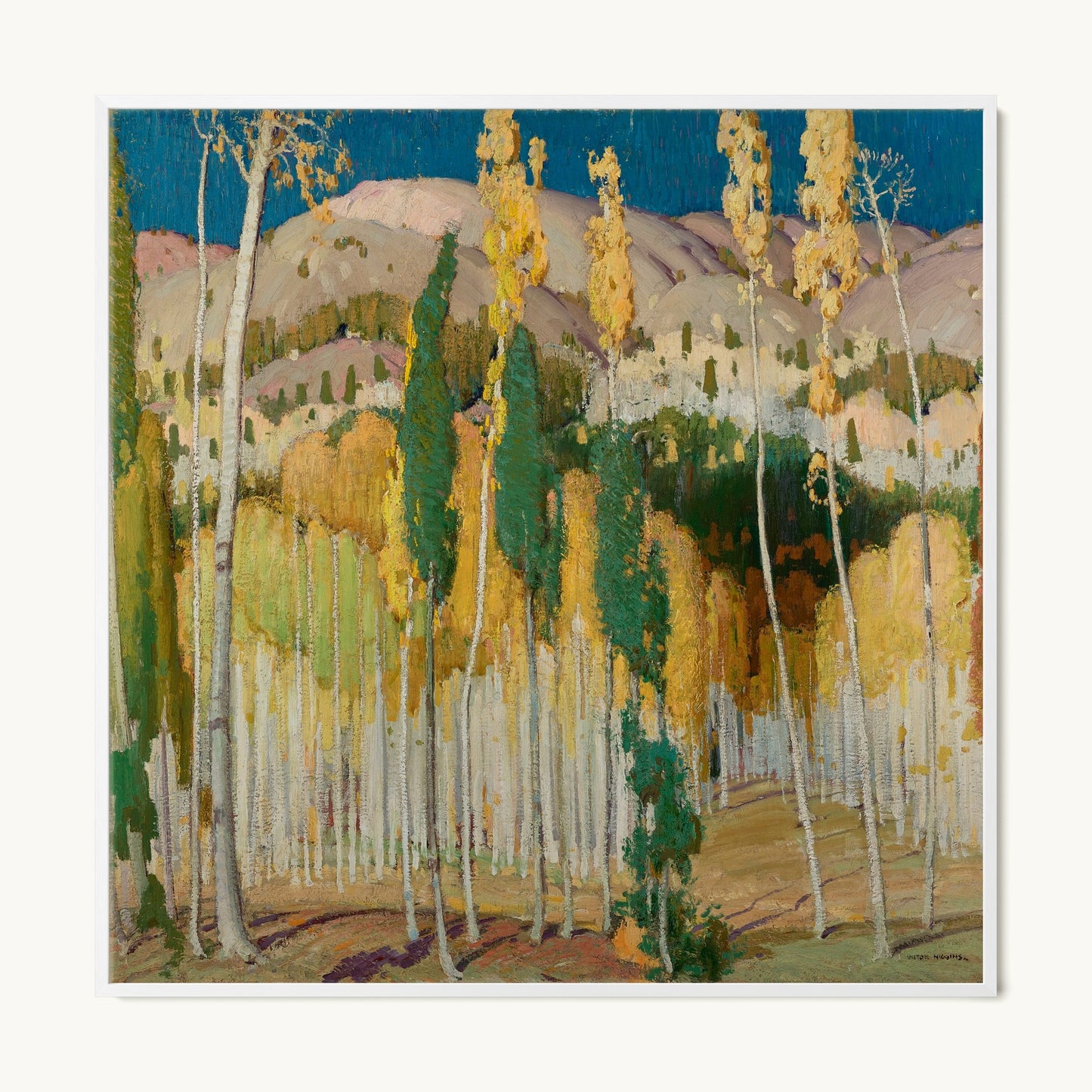 Aspen Trees at Twining