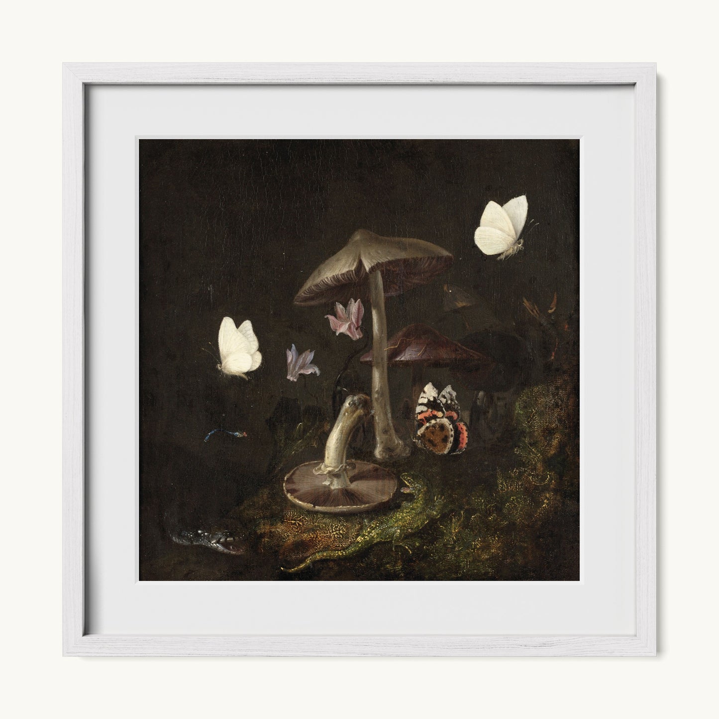 A Sottobosco with Mushrooms, Butterflies, a Dragonfly, a Snake and a Lizard