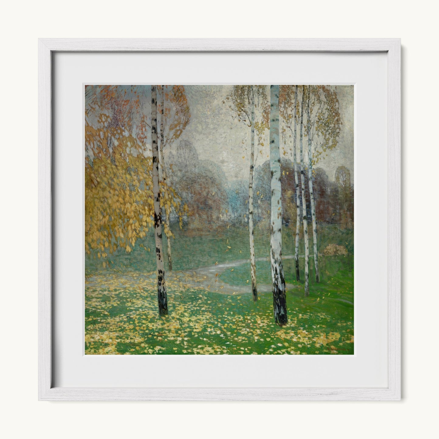 Birch Trees