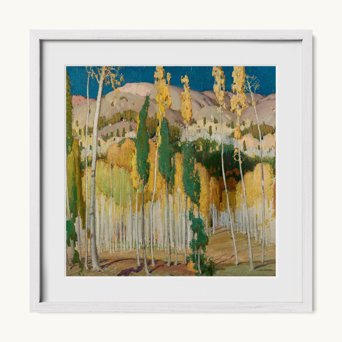 Aspen Trees at Twining
