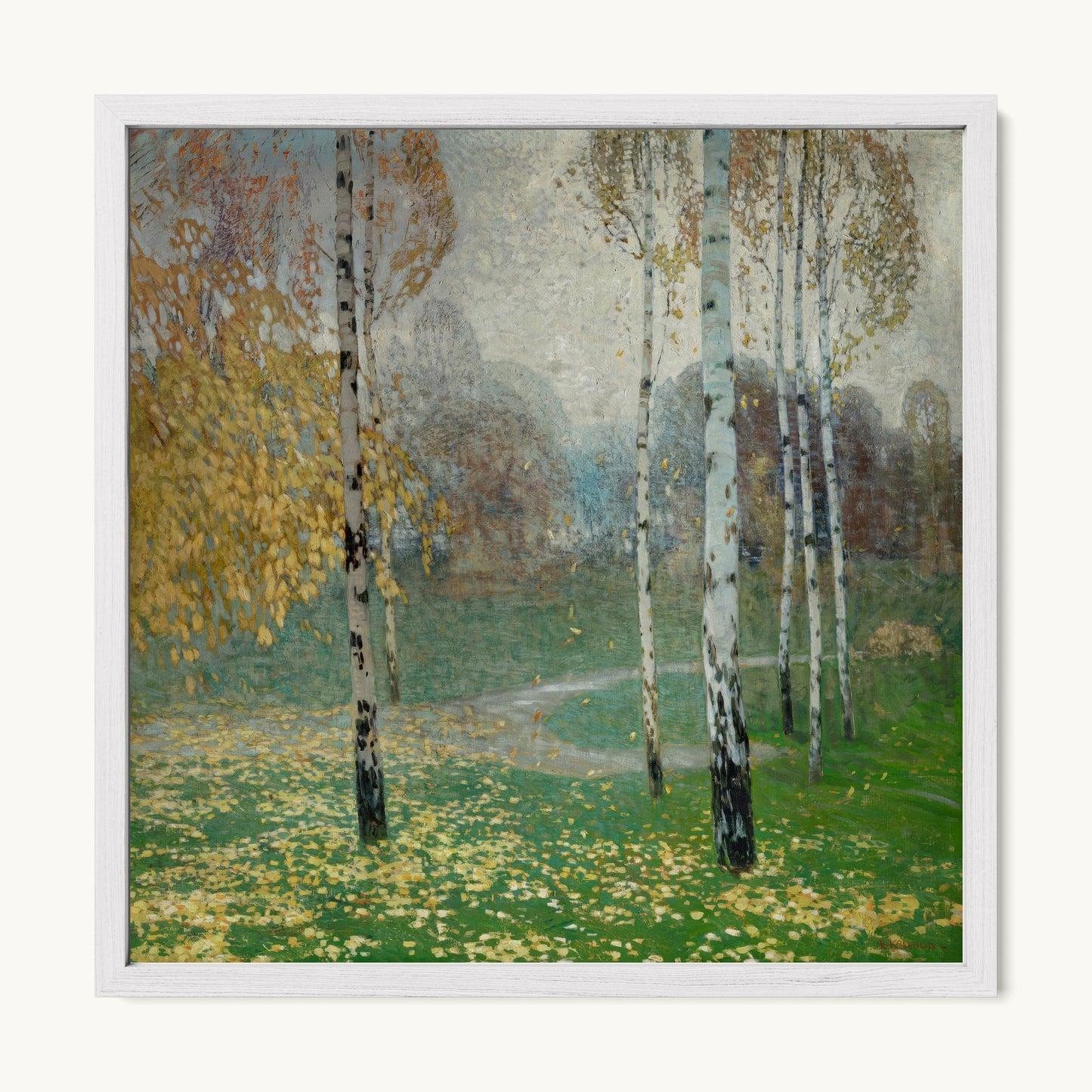 Birch Trees