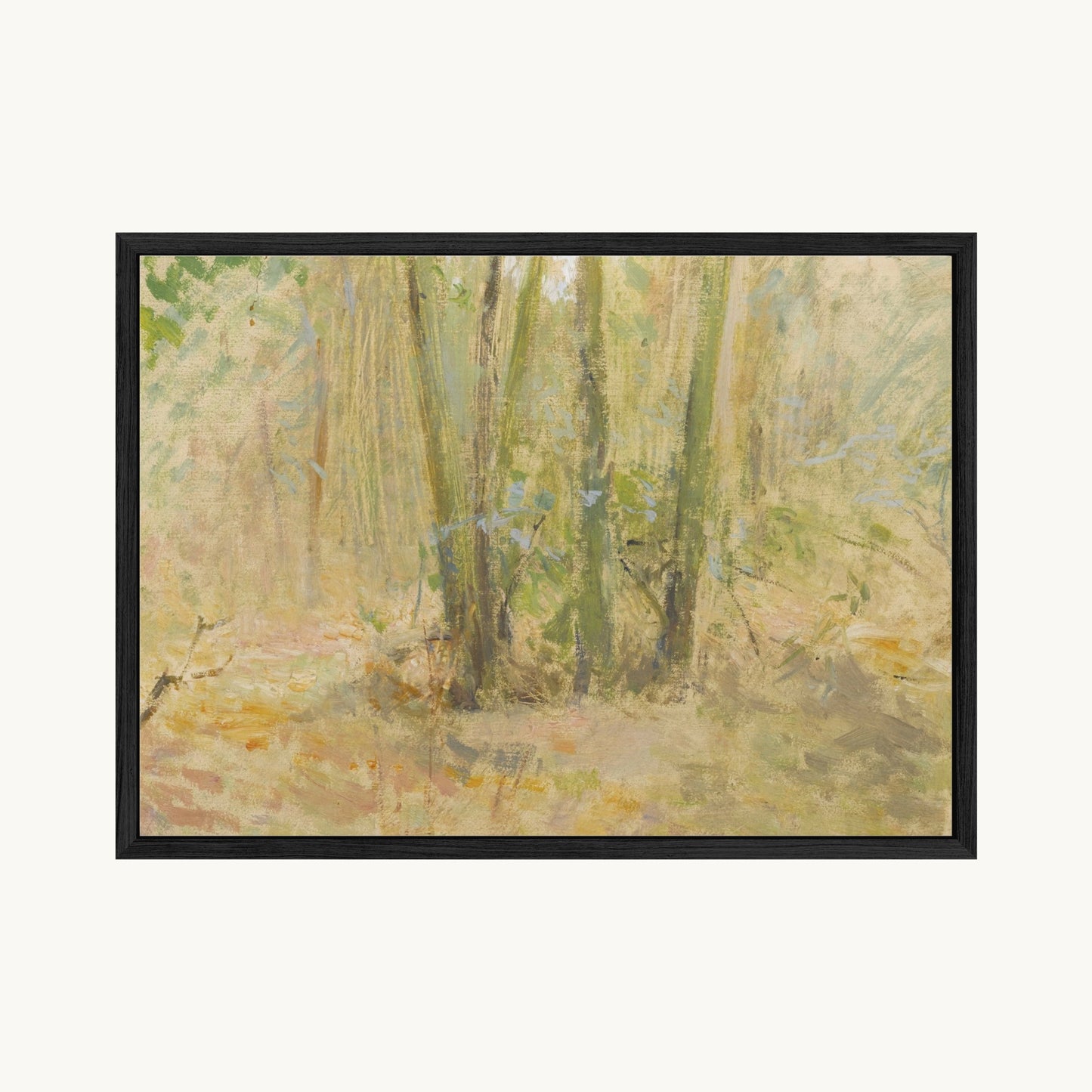 Arbres dans la forêt