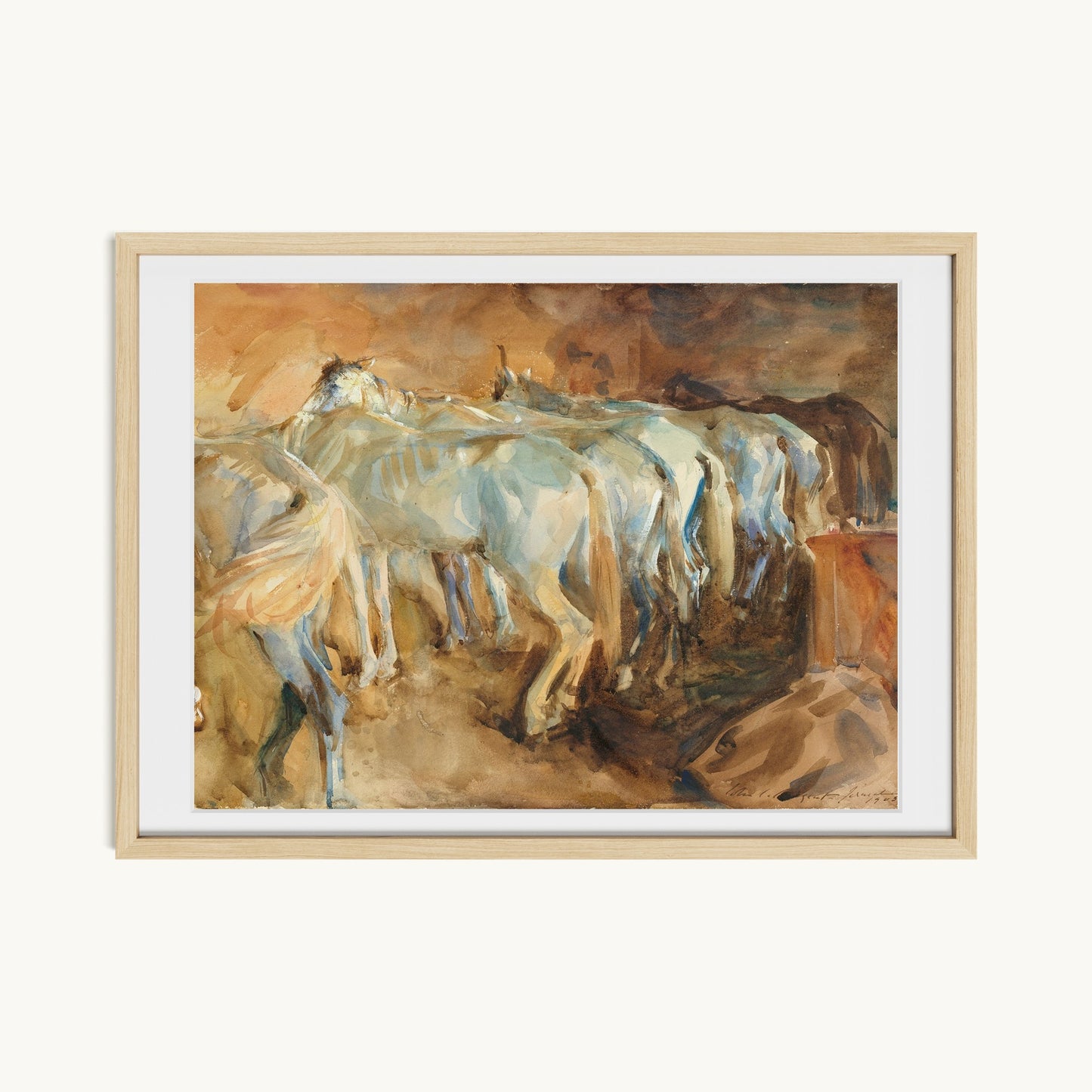 Bus Horses in Jerusalem