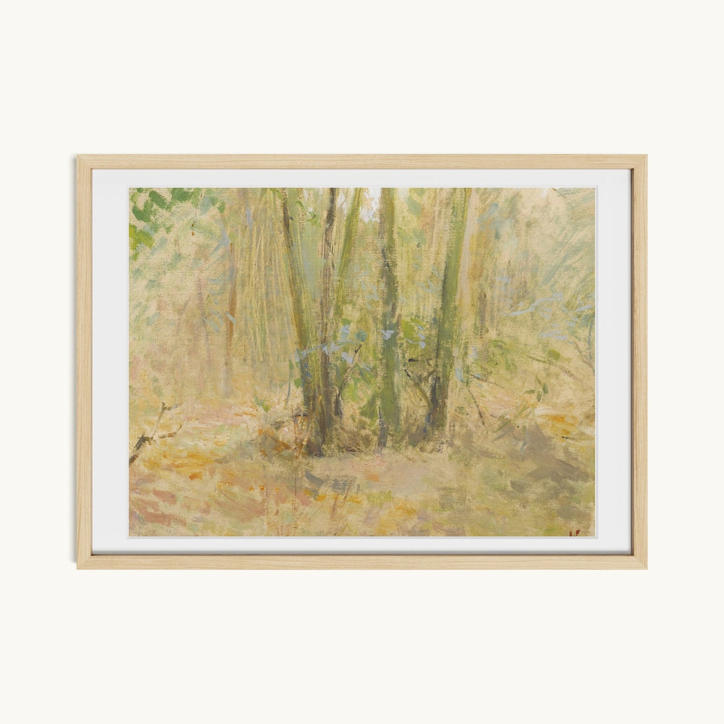 Arbres dans la forêt