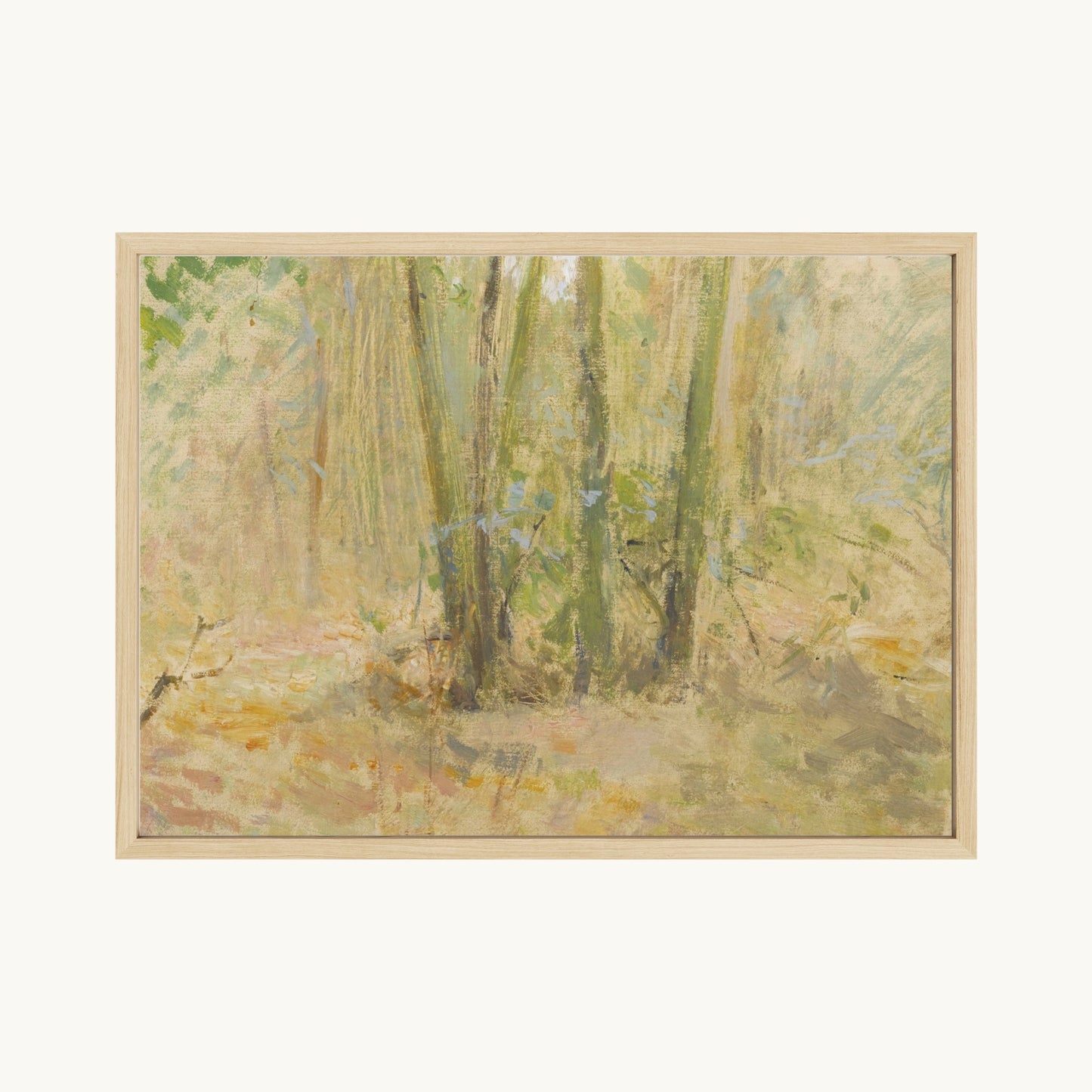 Arbres dans la forêt
