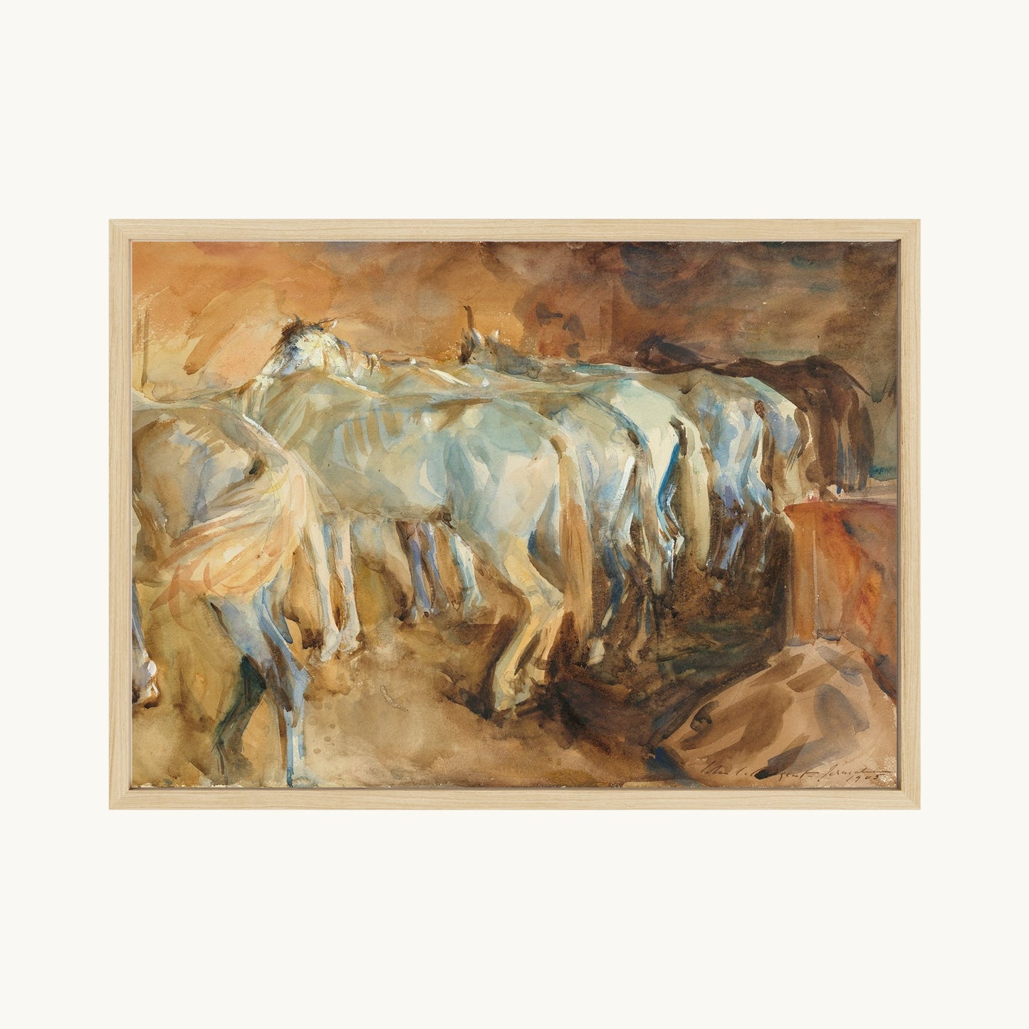Bus Horses in Jerusalem