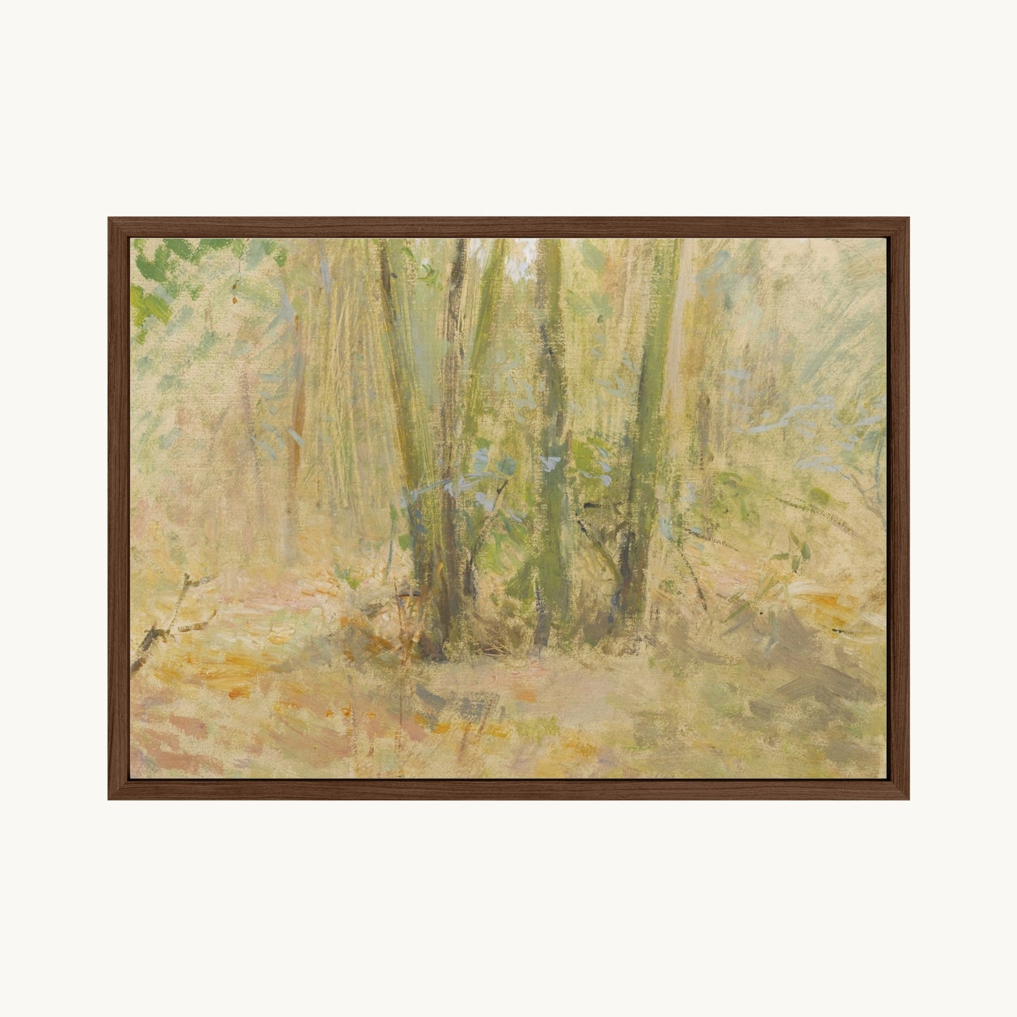 Arbres dans la forêt