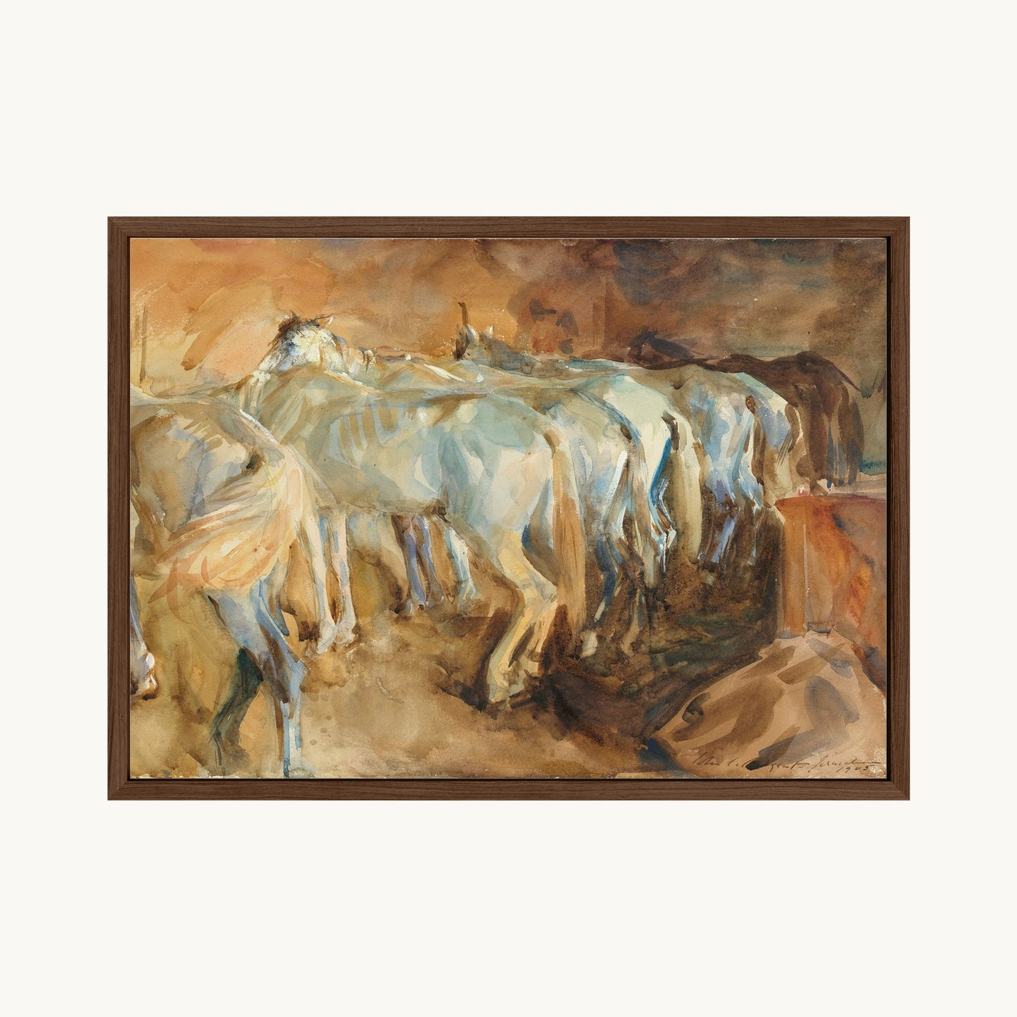 Bus Horses in Jerusalem