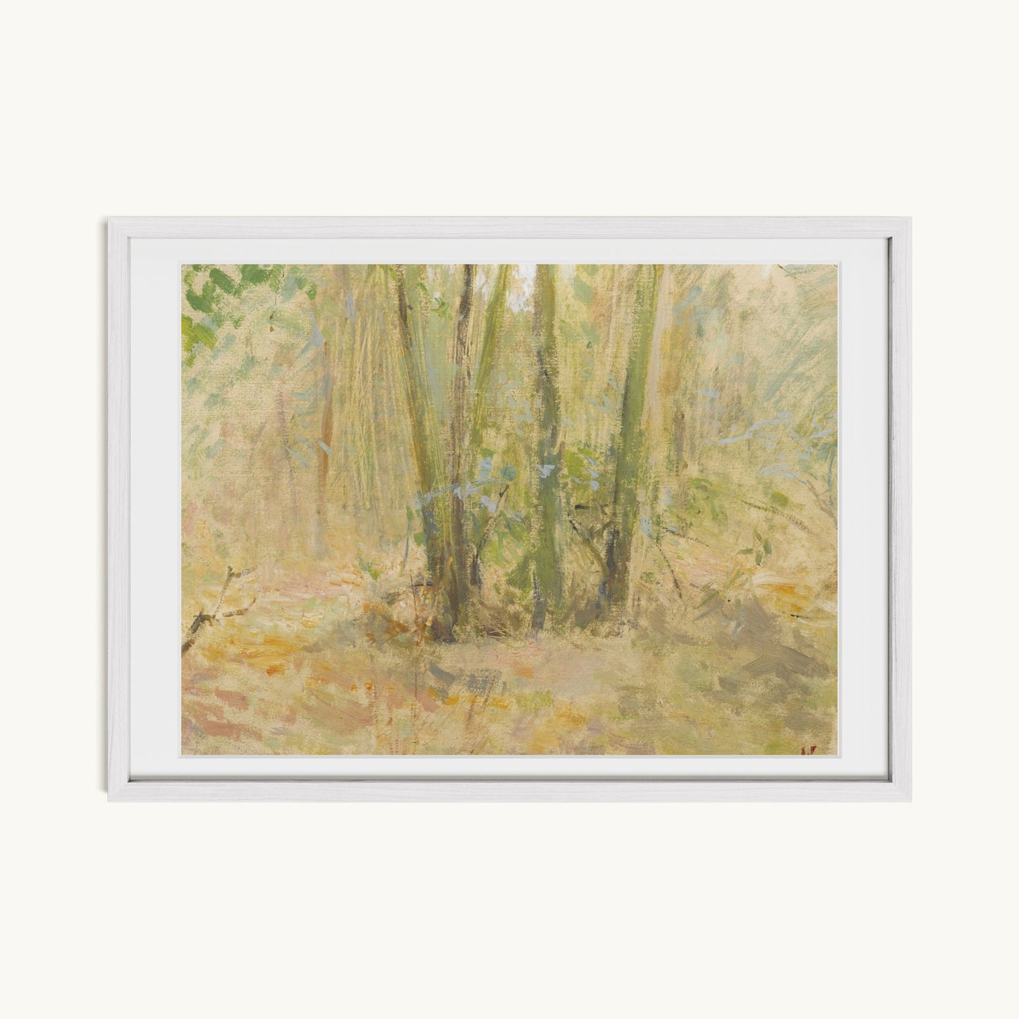 Arbres dans la forêt