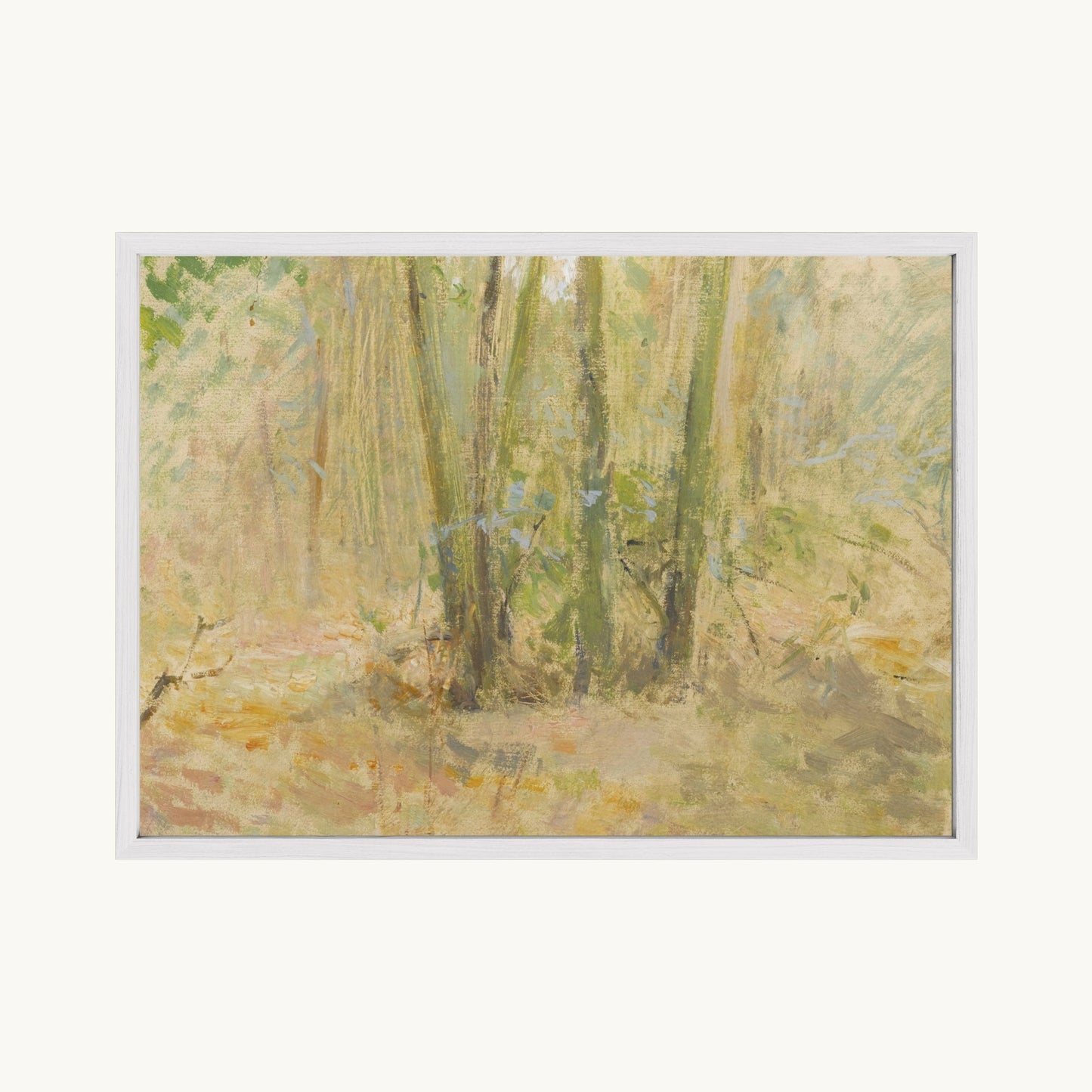 Arbres dans la forêt