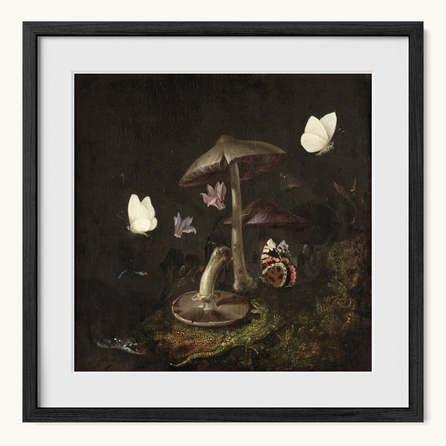 A Sottobosco with Mushrooms, Butterflies, a Dragonfly, a Snake and a Lizard