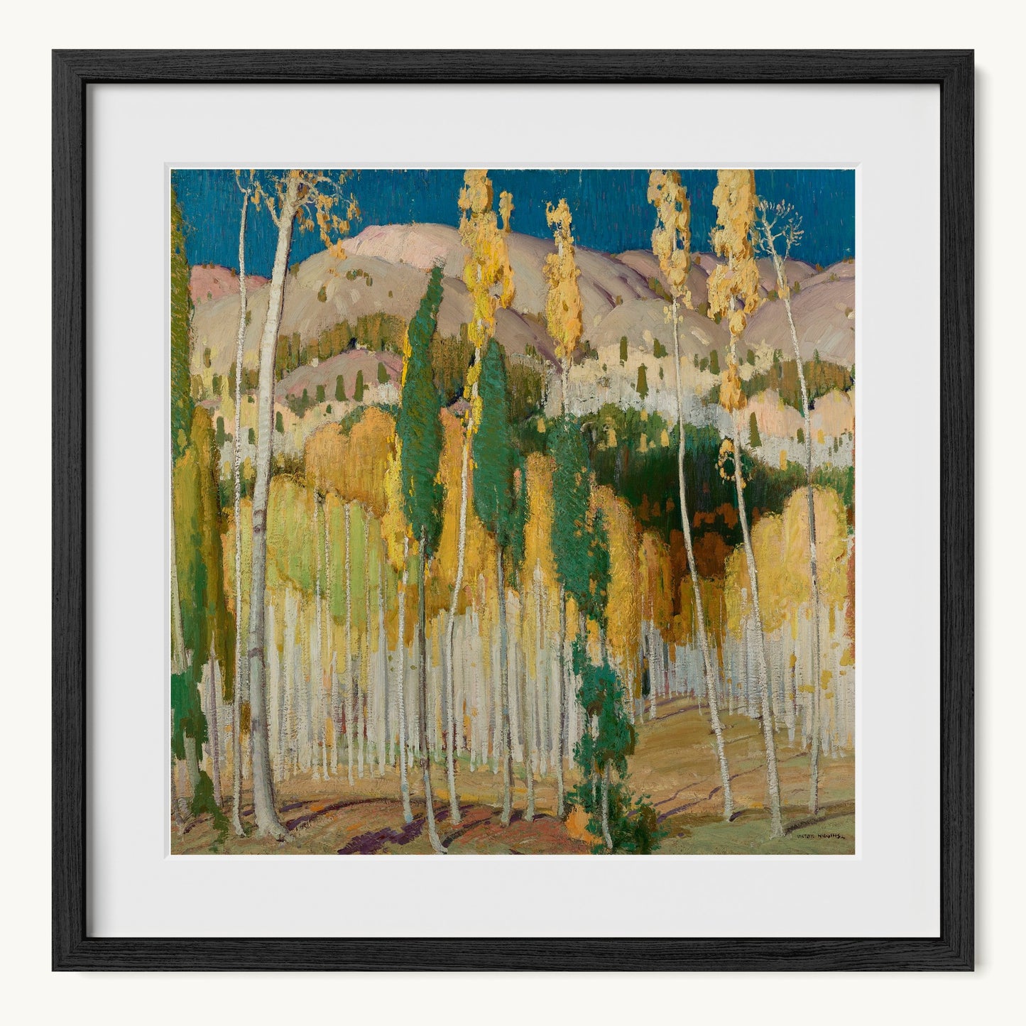 Aspen Trees at Twining