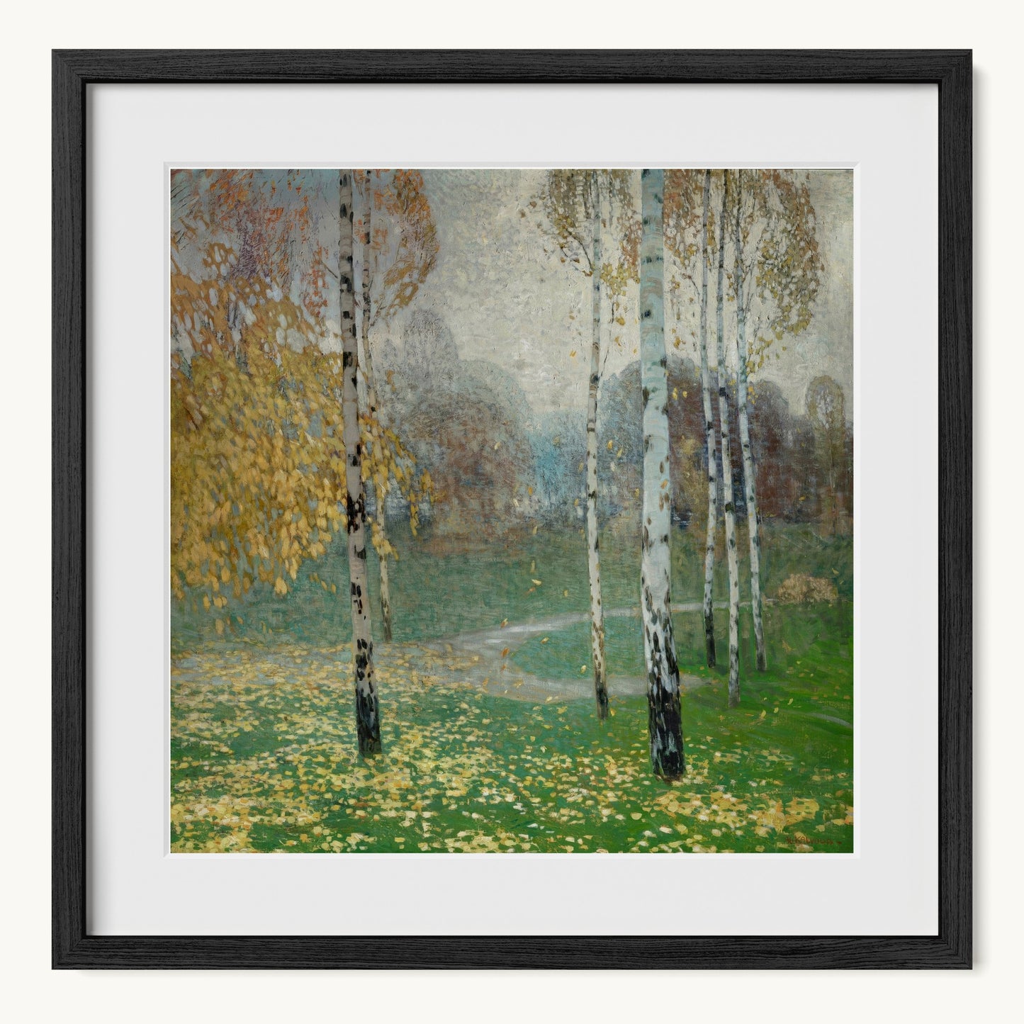 Birch Trees
