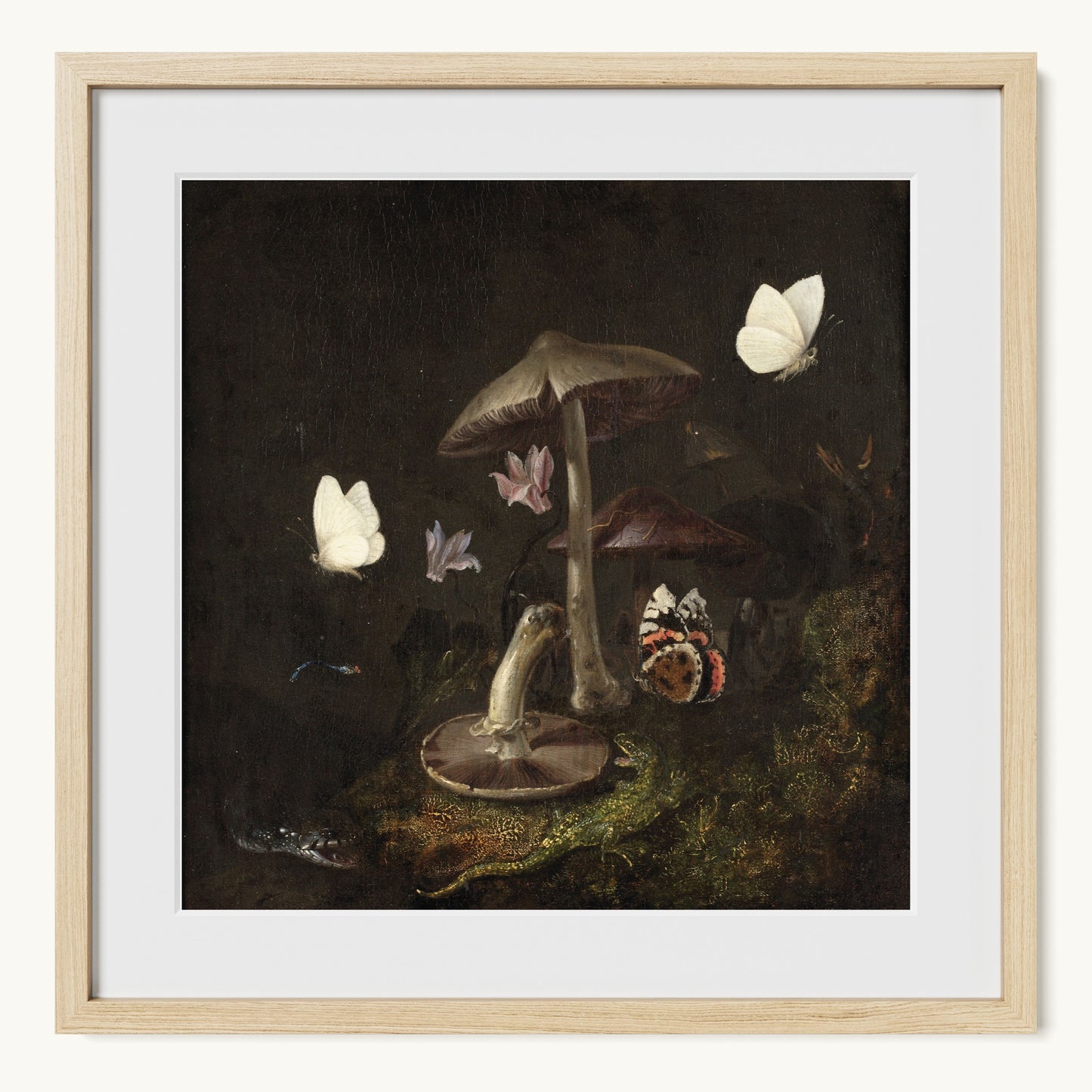 A Sottobosco with Mushrooms, Butterflies, a Dragonfly, a Snake and a Lizard