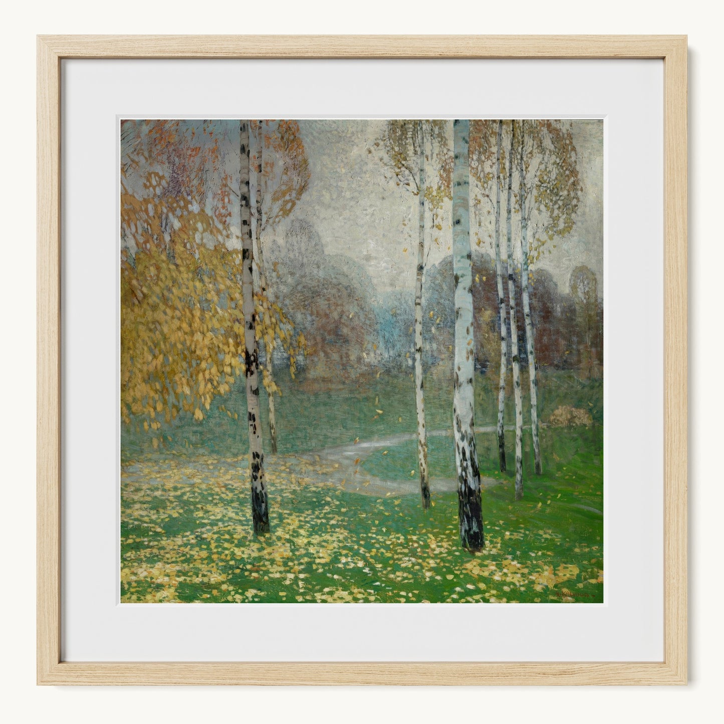 Birch Trees