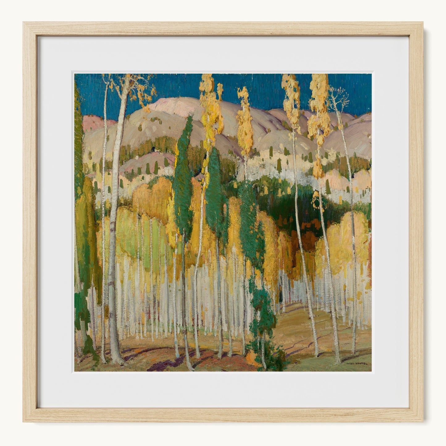 Aspen Trees at Twining