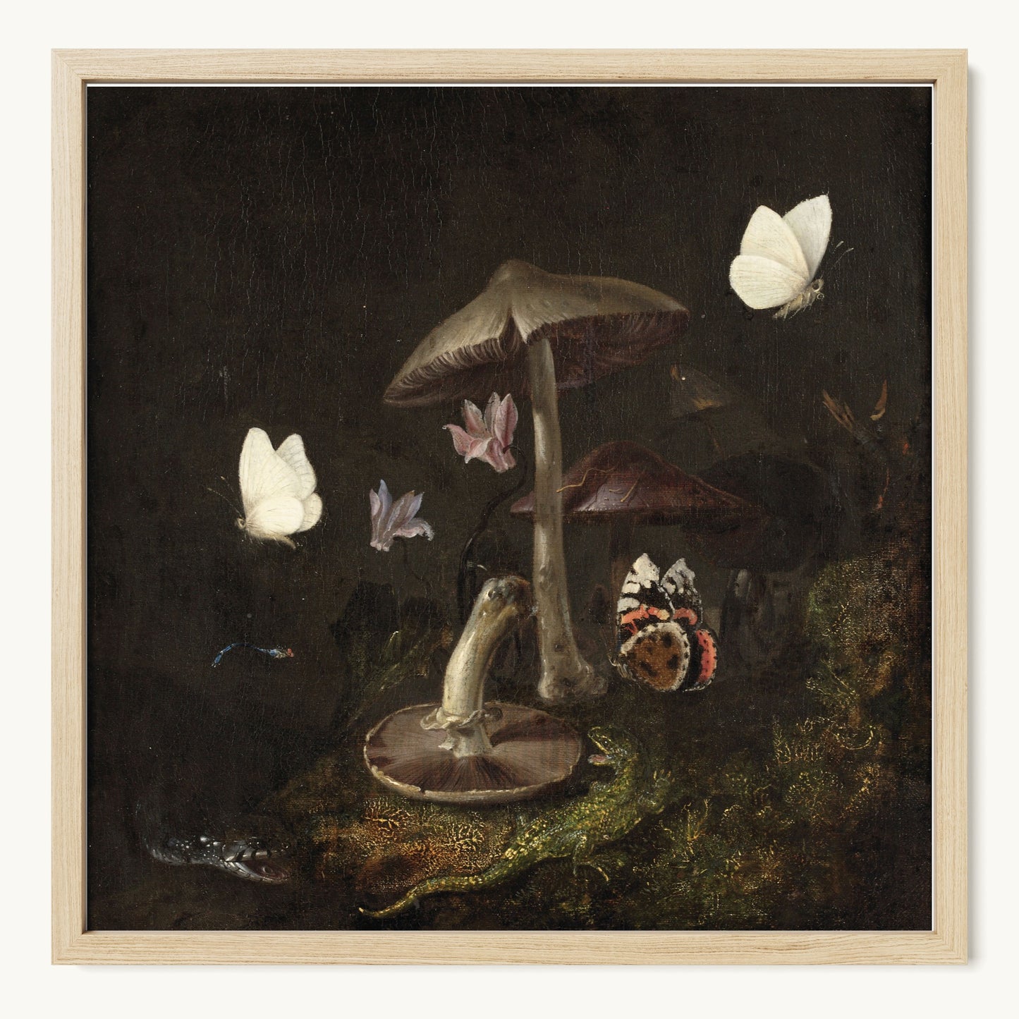 A Sottobosco with Mushrooms, Butterflies, a Dragonfly, a Snake and a Lizard