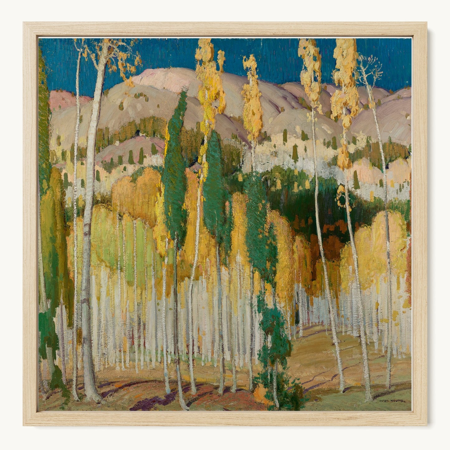 Aspen Trees at Twining