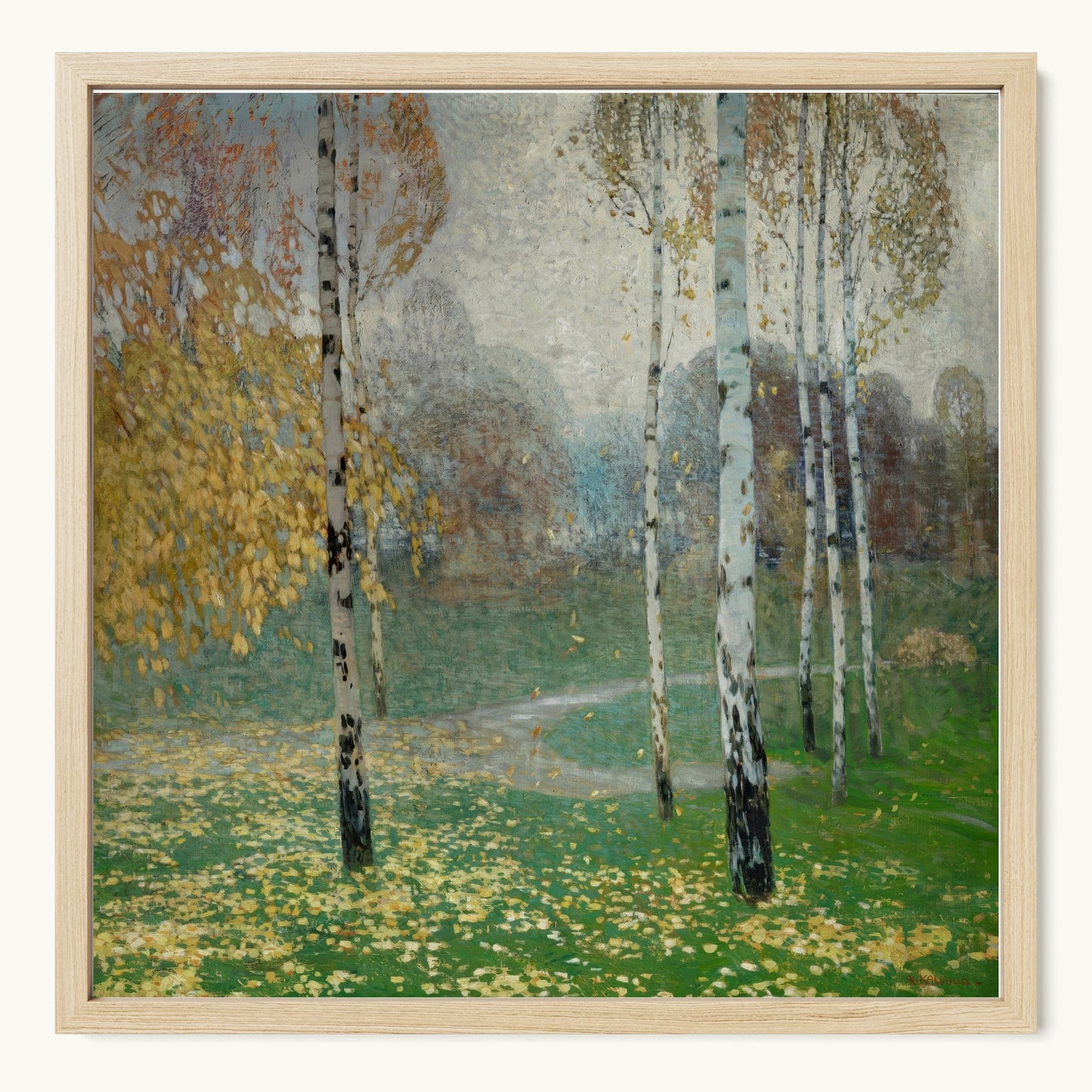 Birch Trees
