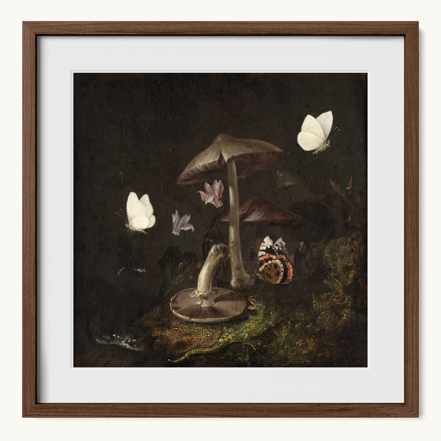A Sottobosco with Mushrooms, Butterflies, a Dragonfly, a Snake and a Lizard