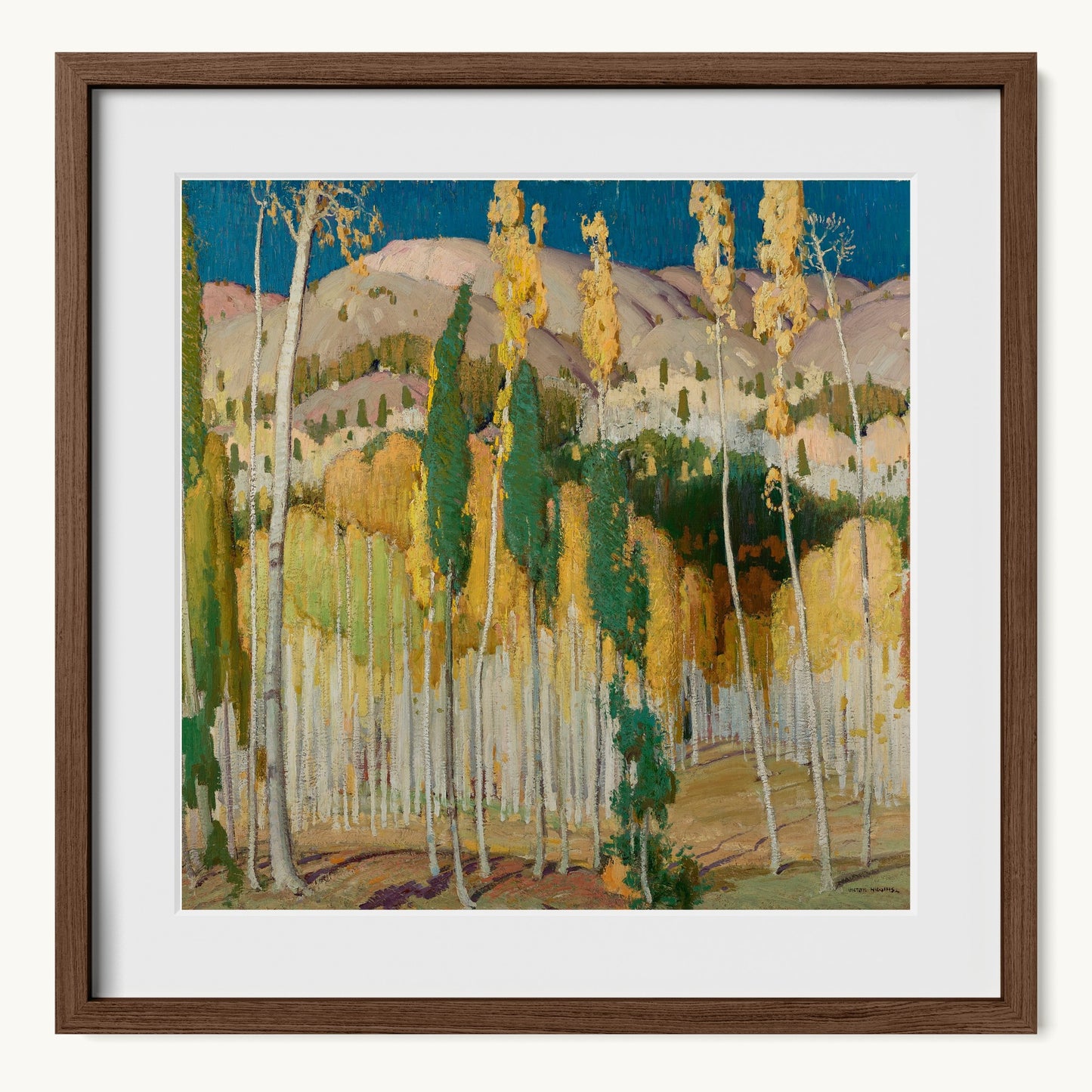 Aspen Trees at Twining