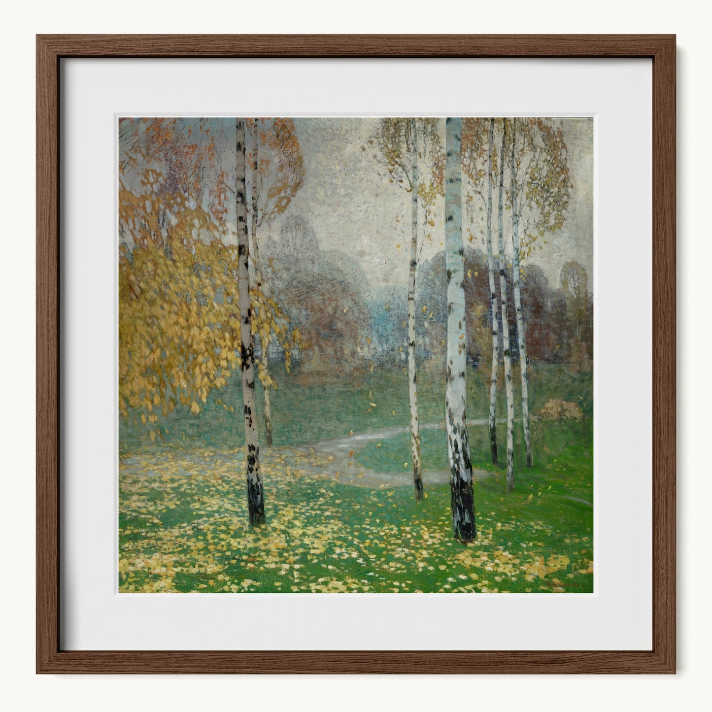 Birch Trees