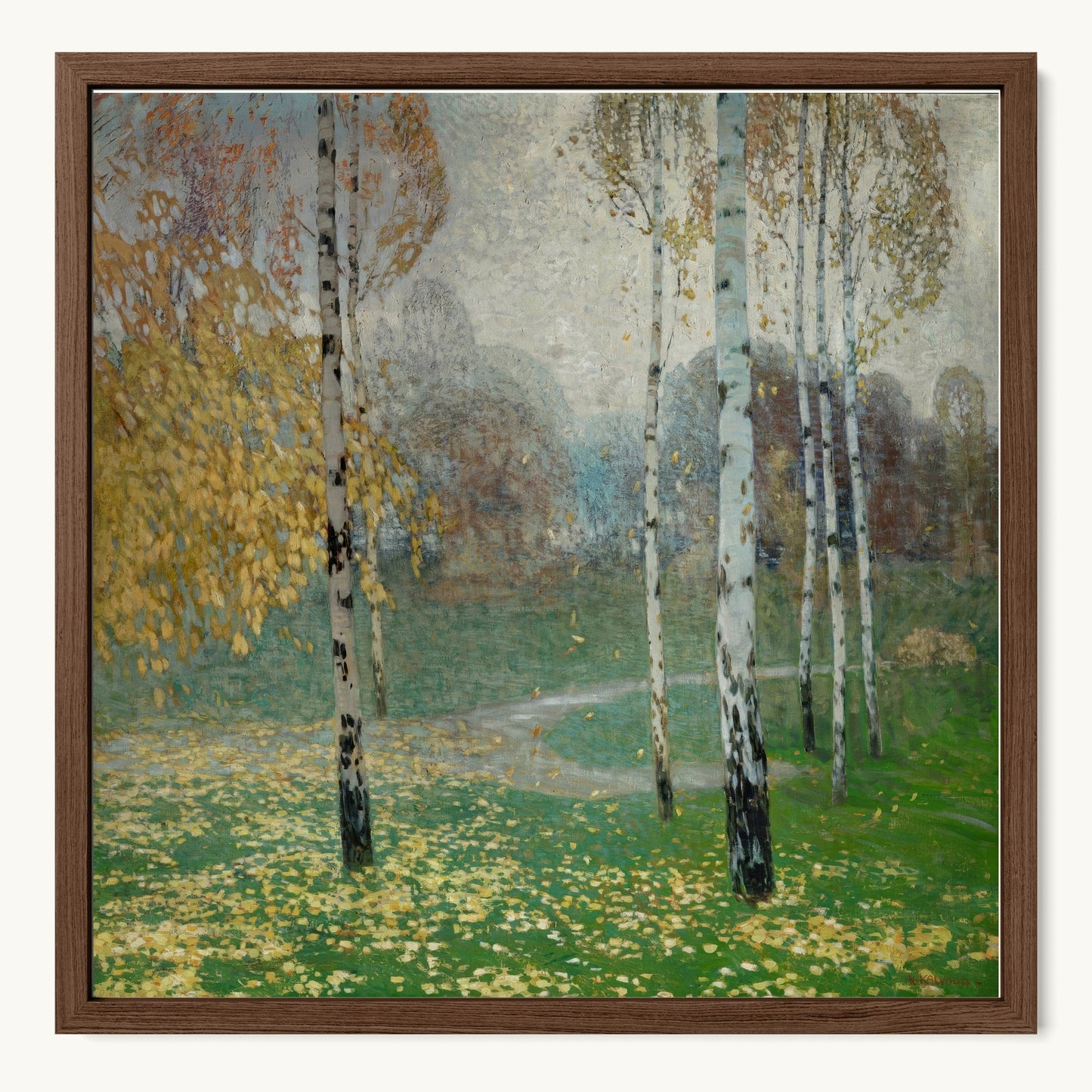 Birch Trees