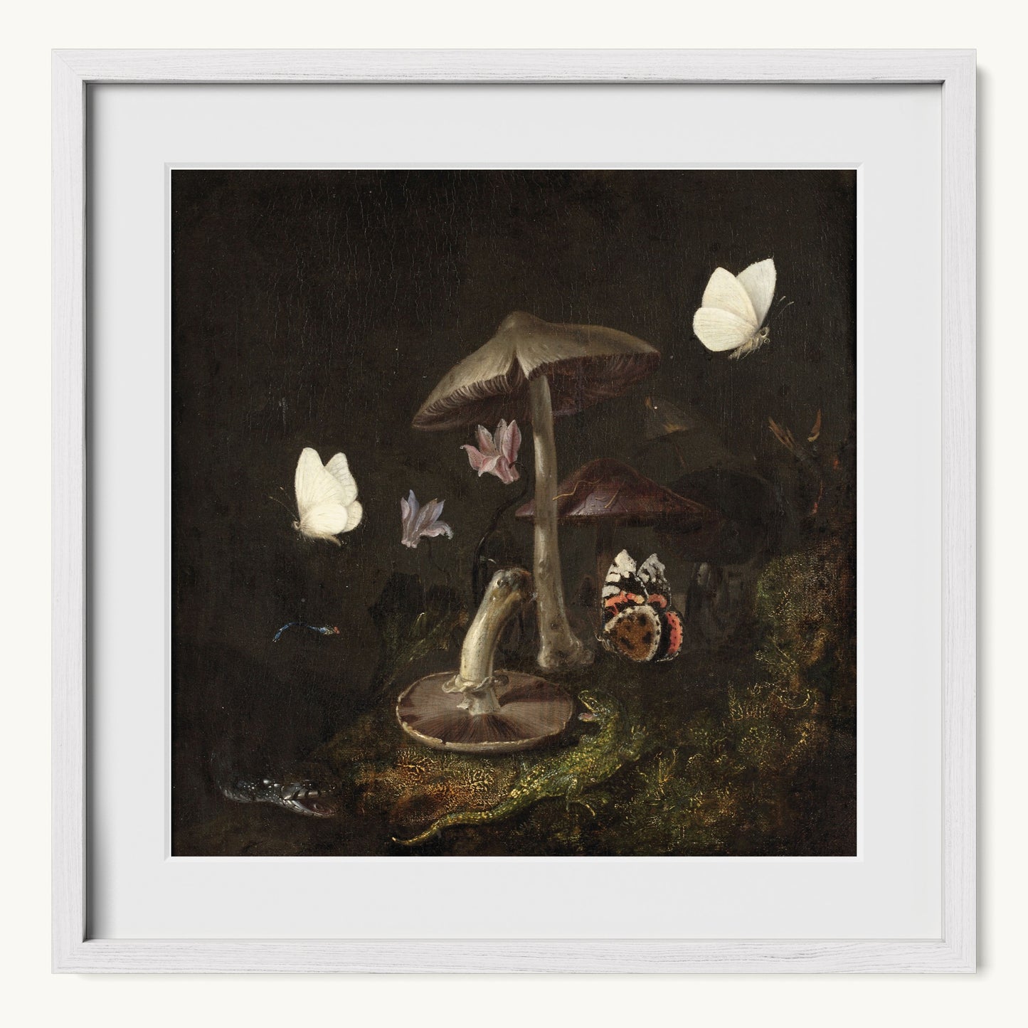 A Sottobosco with Mushrooms, Butterflies, a Dragonfly, a Snake and a Lizard