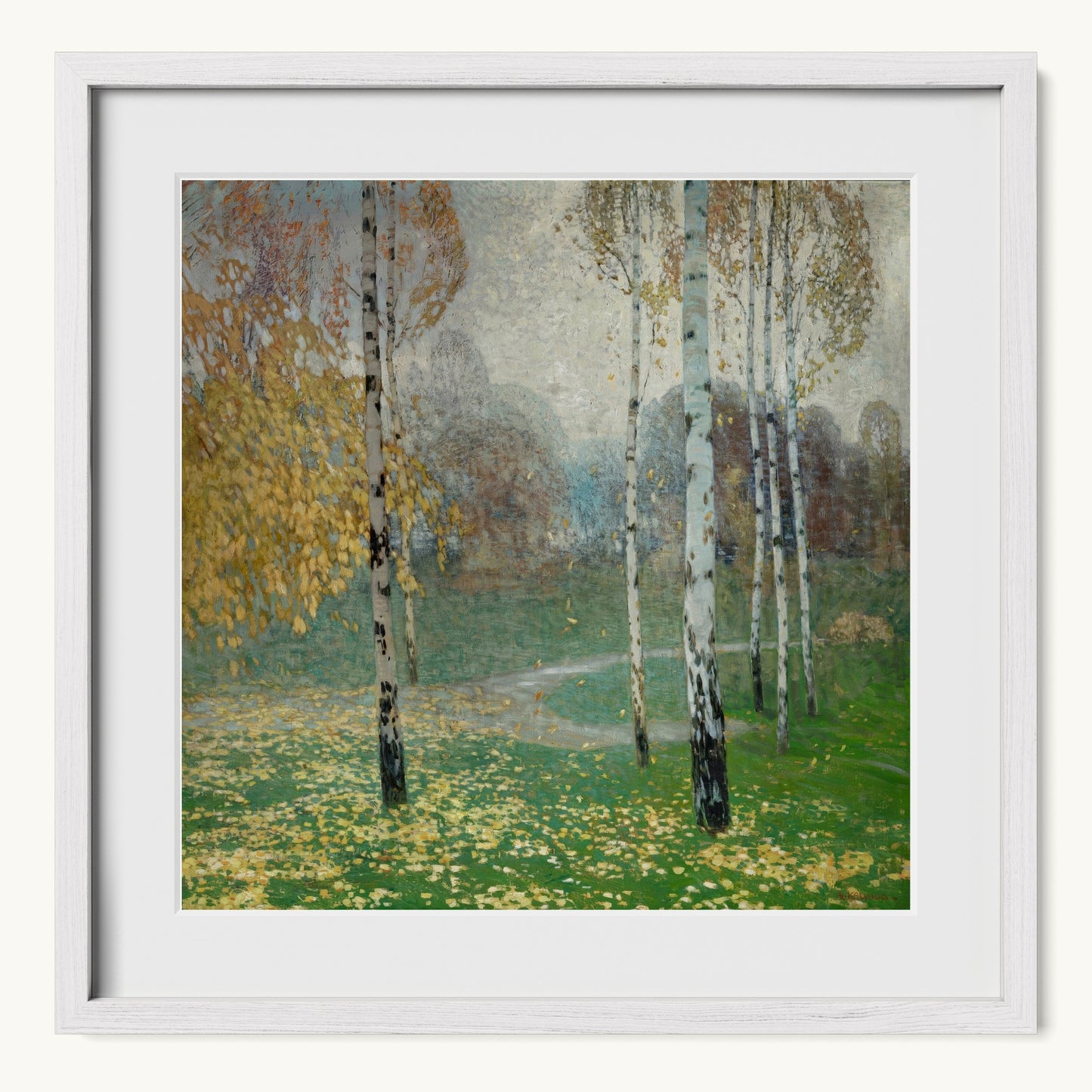 Birch Trees