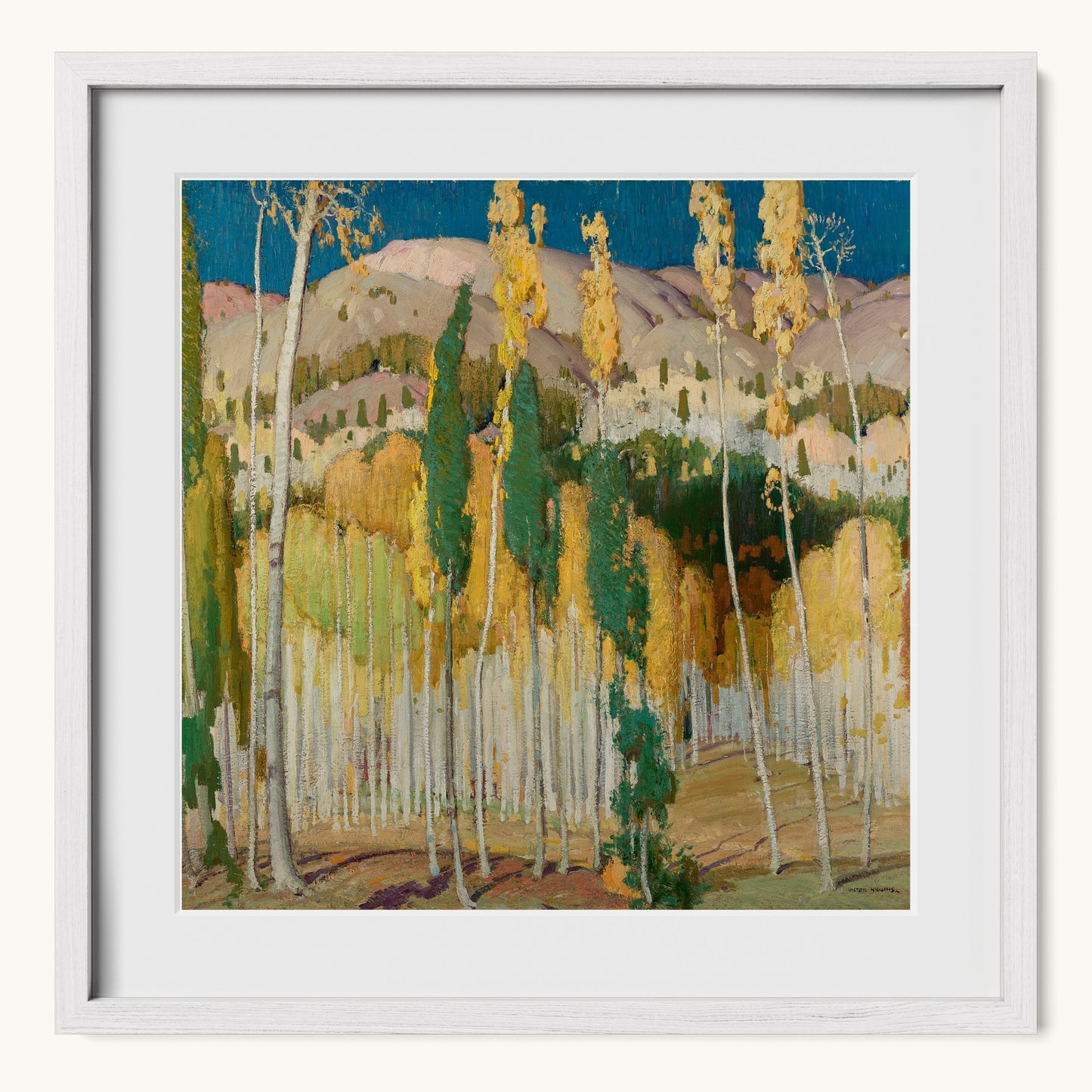 Aspen Trees at Twining
