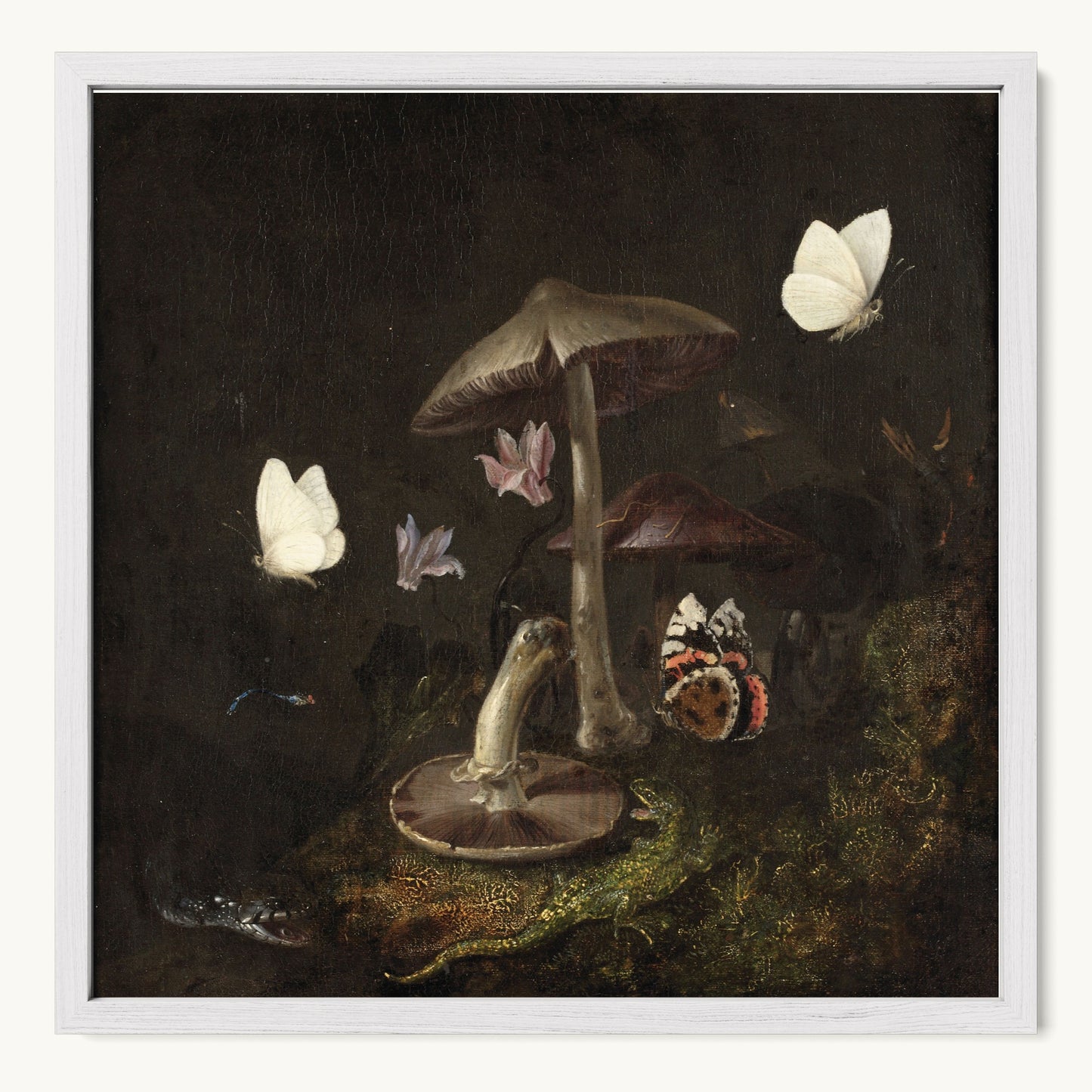 A Sottobosco with Mushrooms, Butterflies, a Dragonfly, a Snake and a Lizard