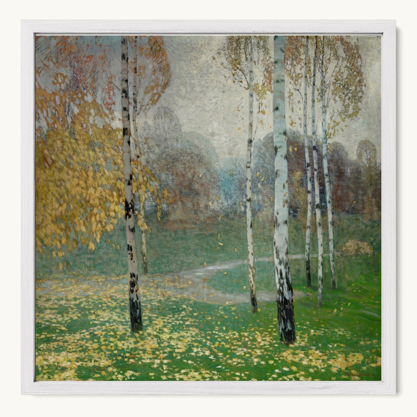 Birch Trees