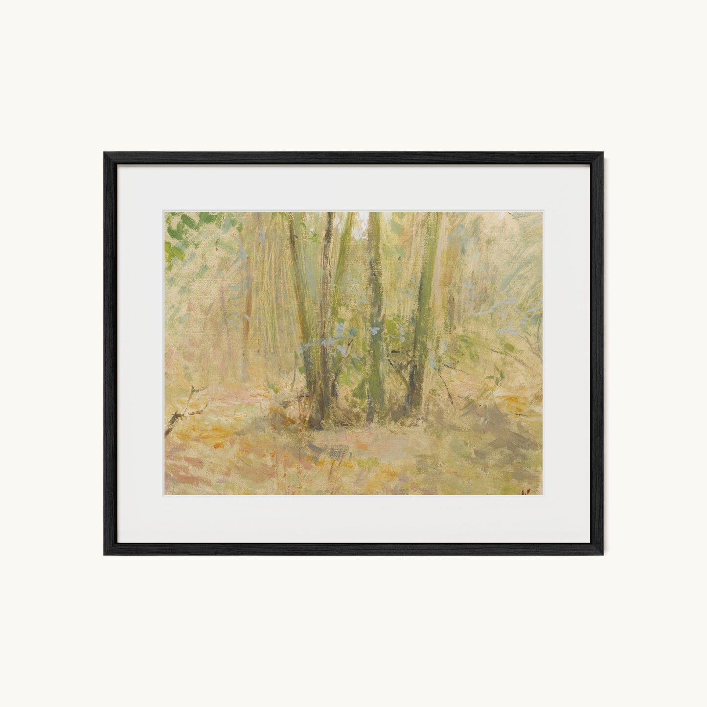Arbres dans la forêt