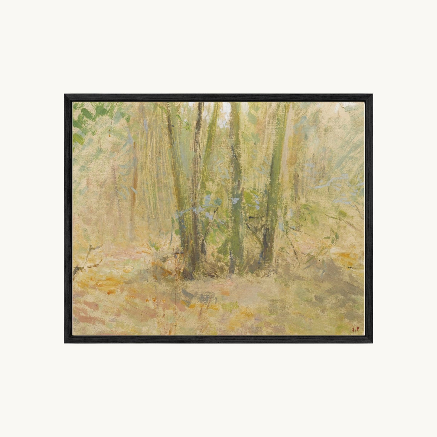 Arbres dans la forêt