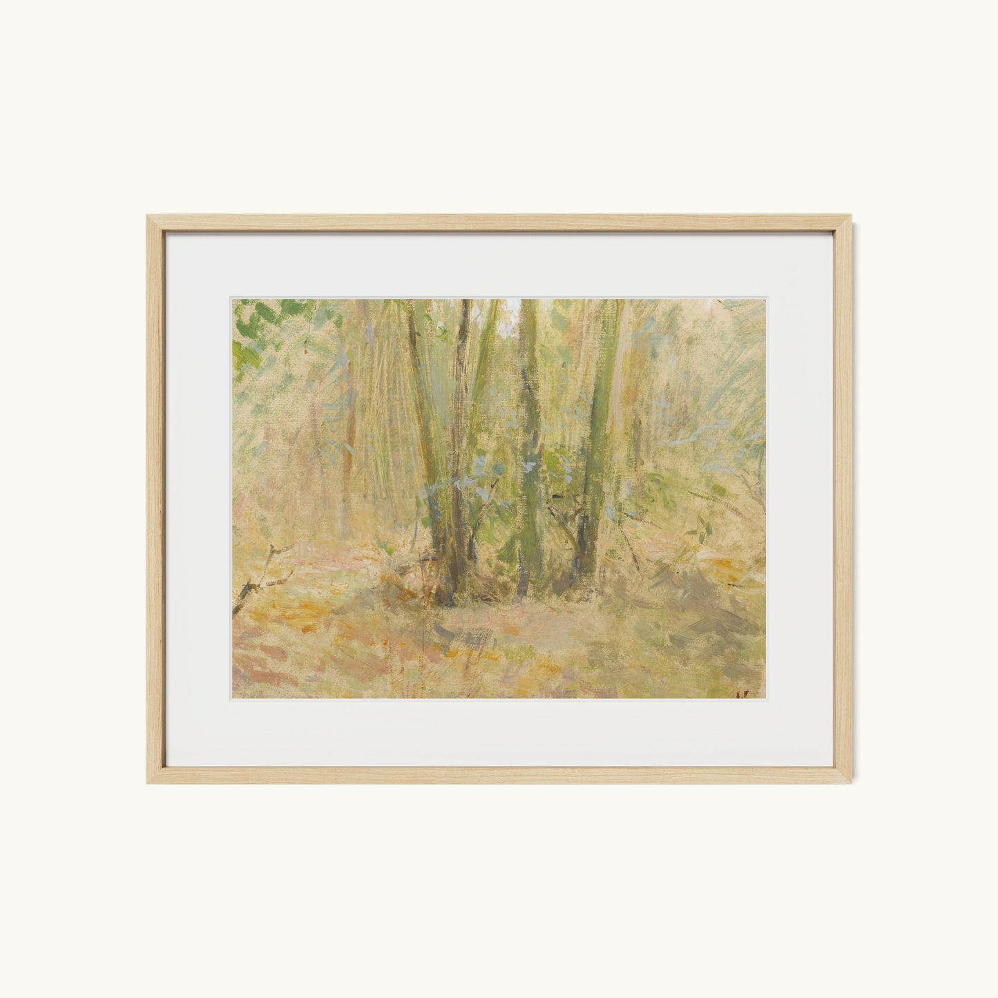 Arbres dans la forêt