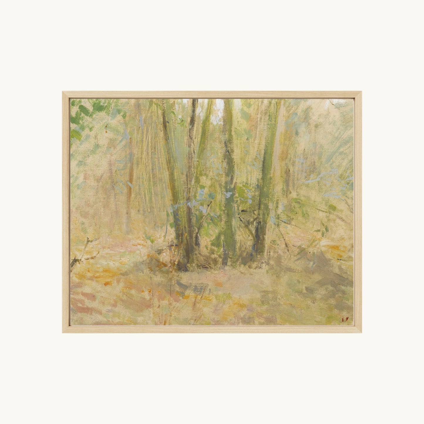 Arbres dans la forêt