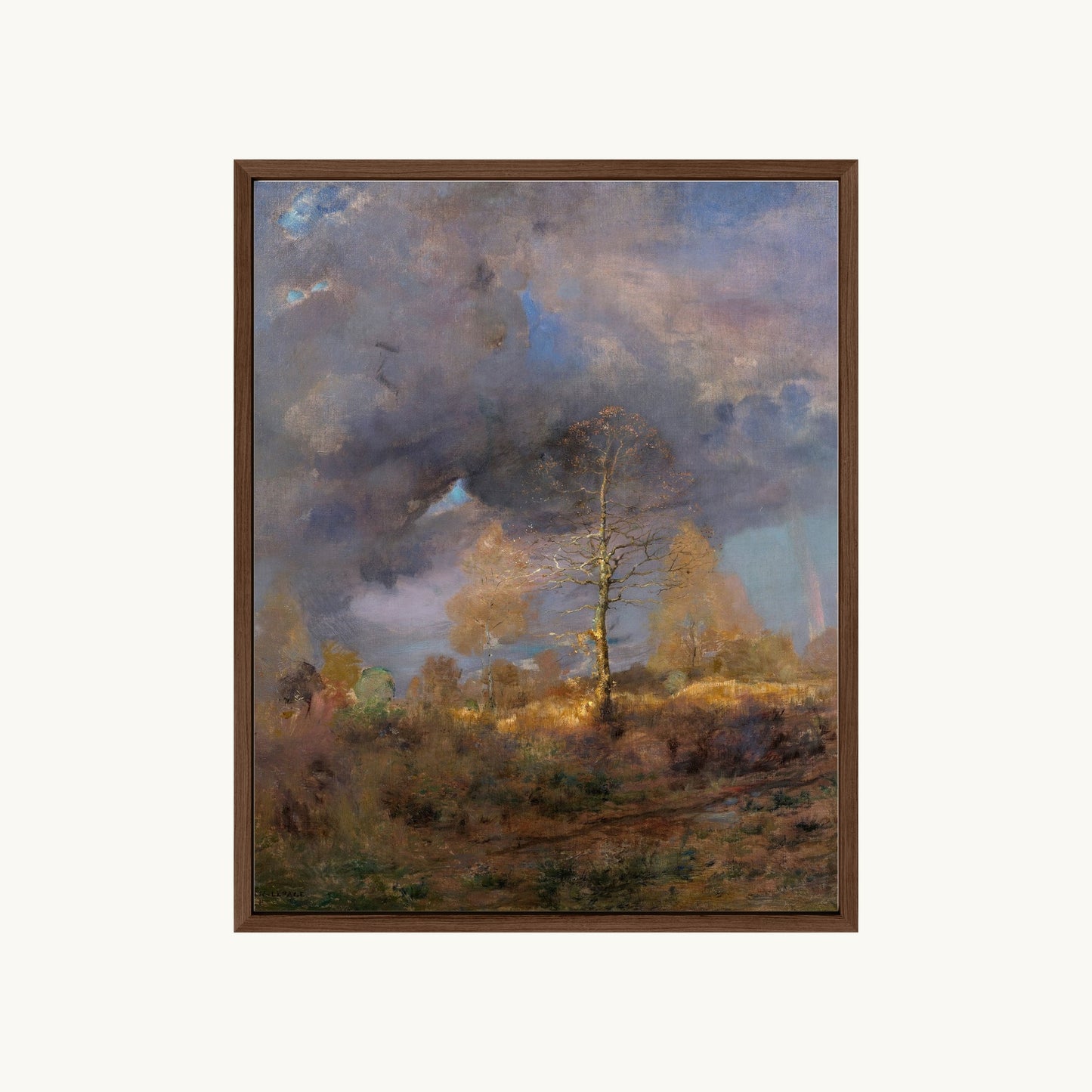 After the Storm