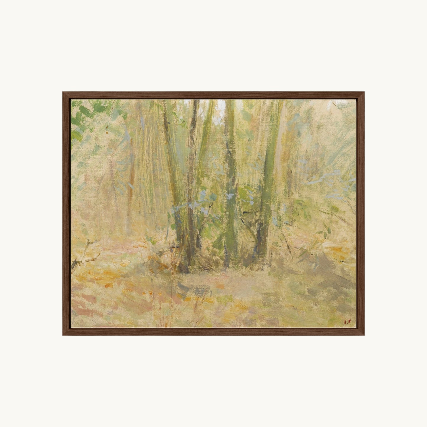 Arbres dans la forêt
