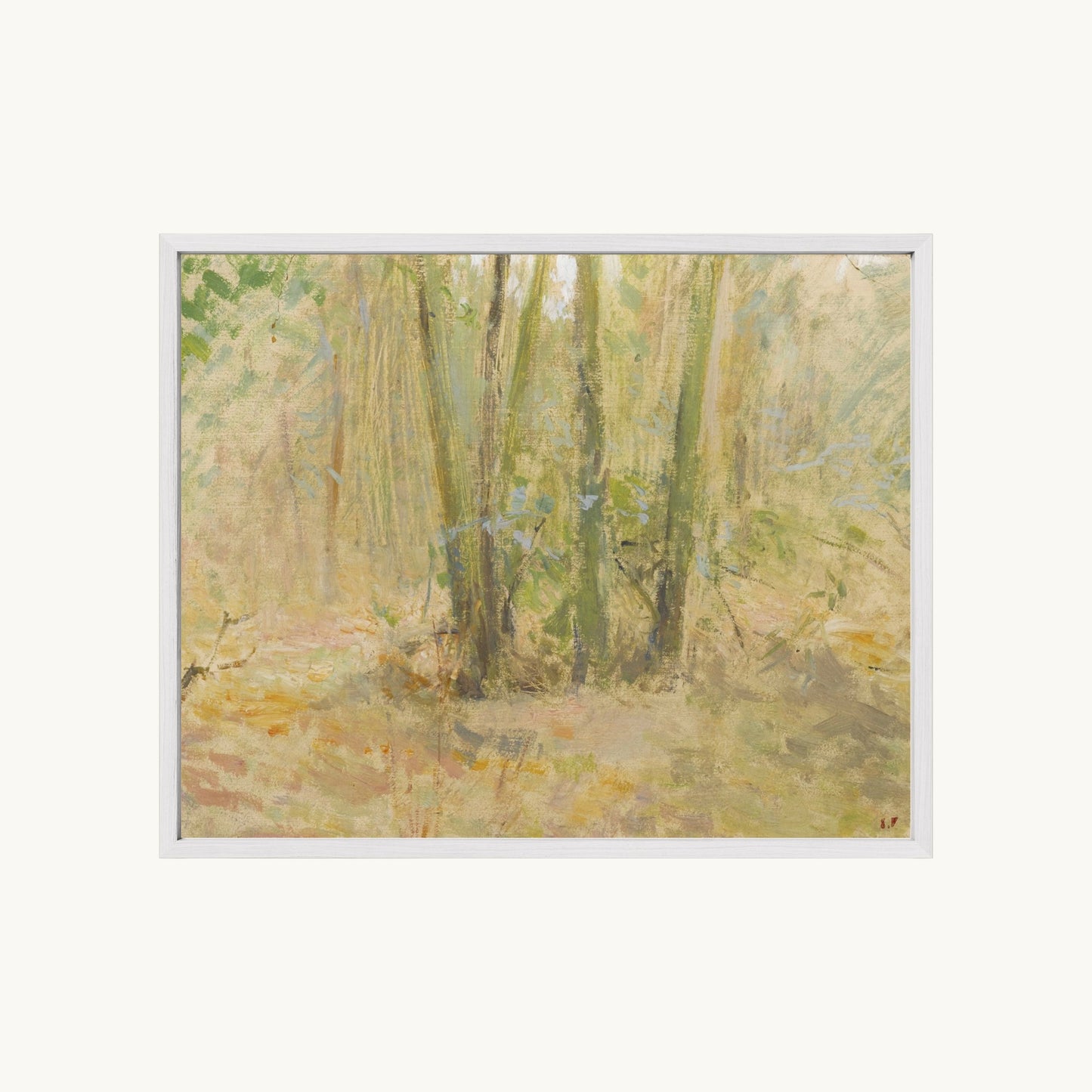 Arbres dans la forêt