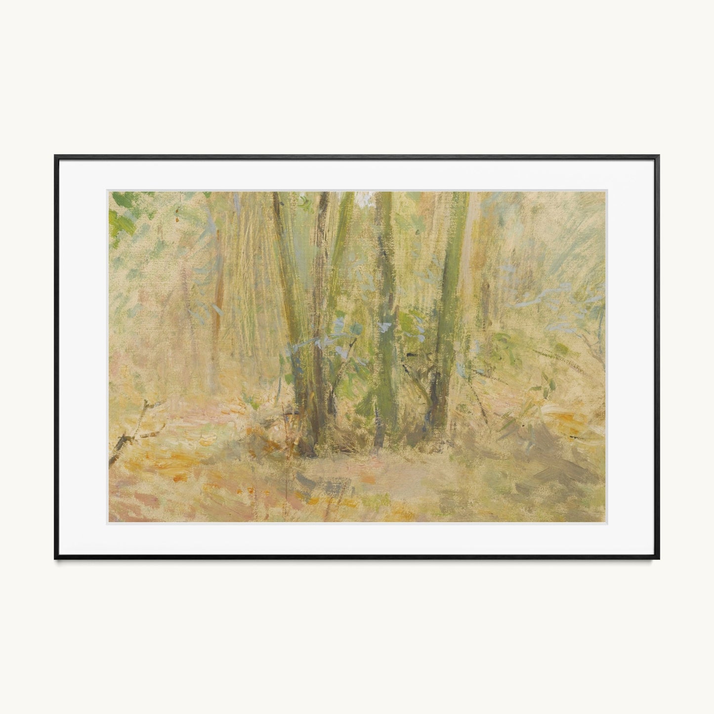 Arbres dans la forêt