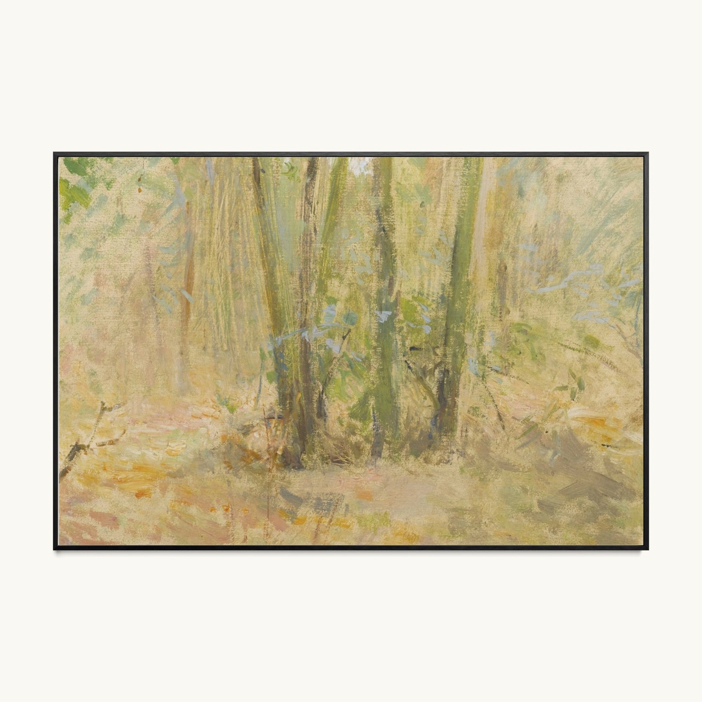 Arbres dans la forêt