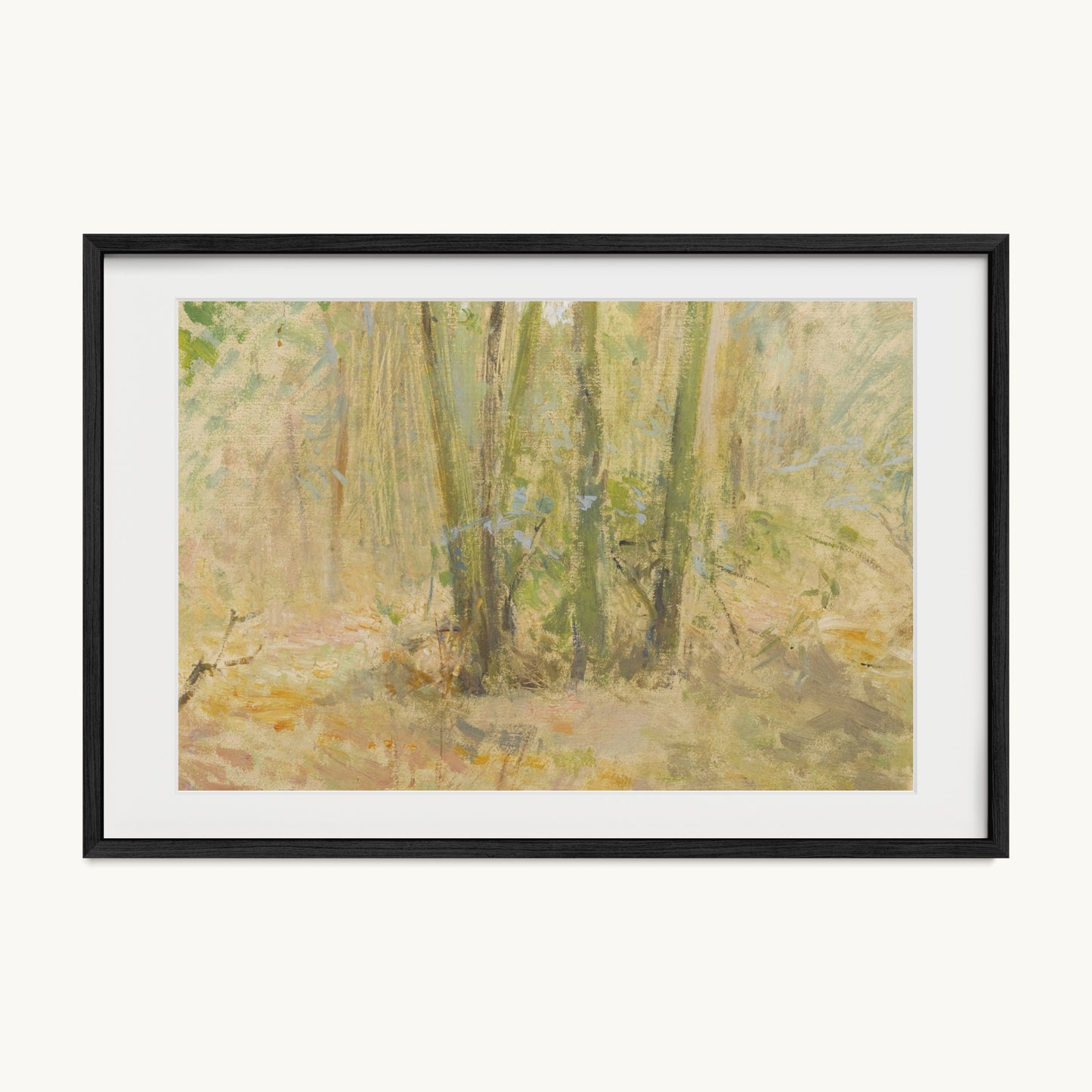 Arbres dans la forêt